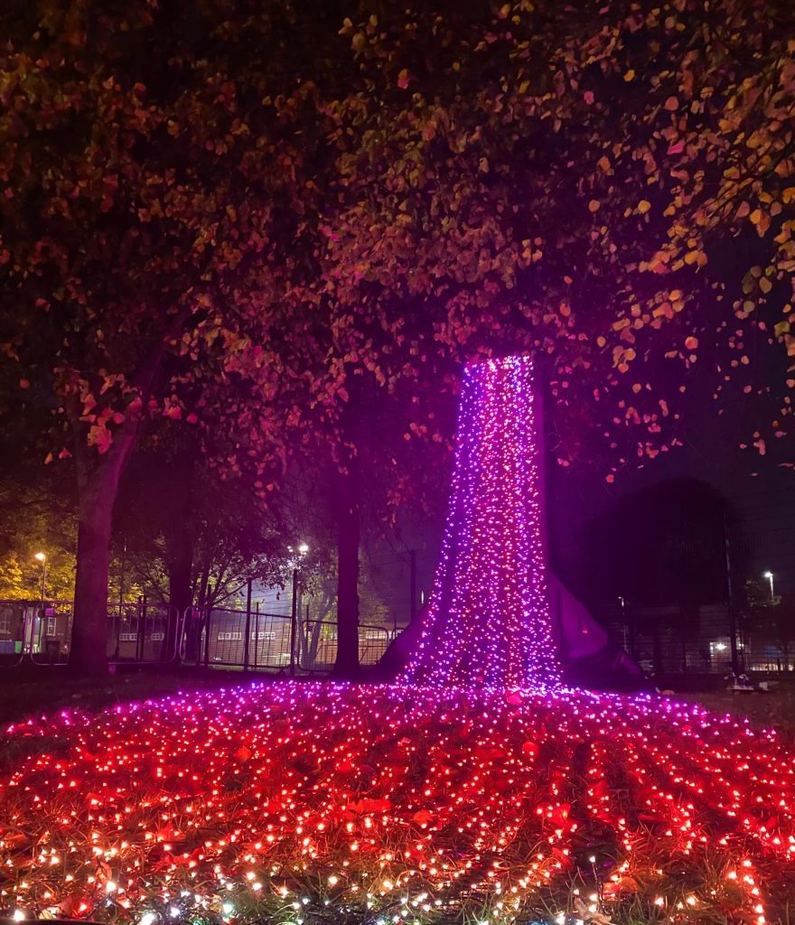 Waterfall of Light images-4.jpg