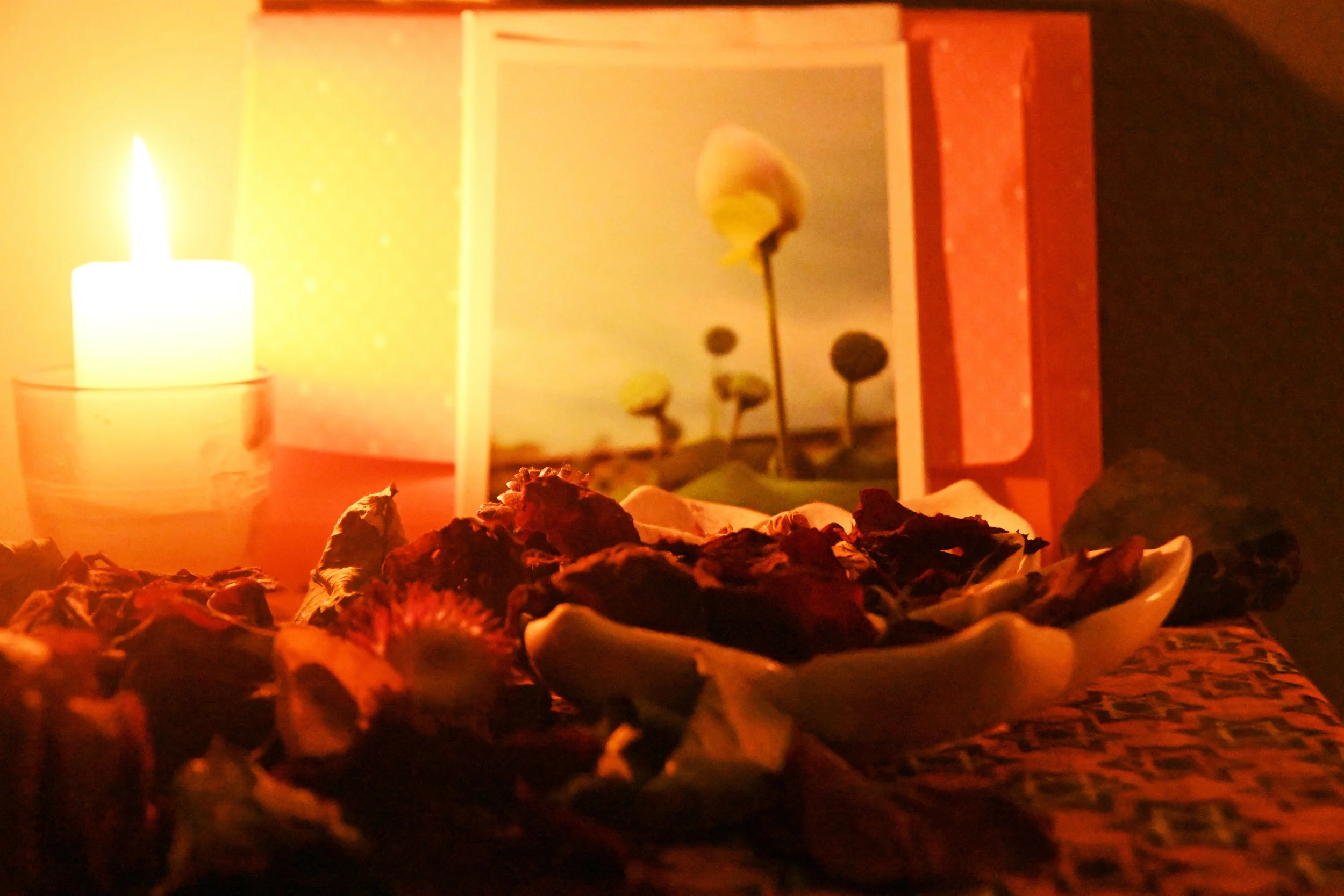 Une bougie allumée, une assiette avec des fleurs séchées, et un tableau avec des marguerites en arrière-plan dans une ambiance chaleureuse