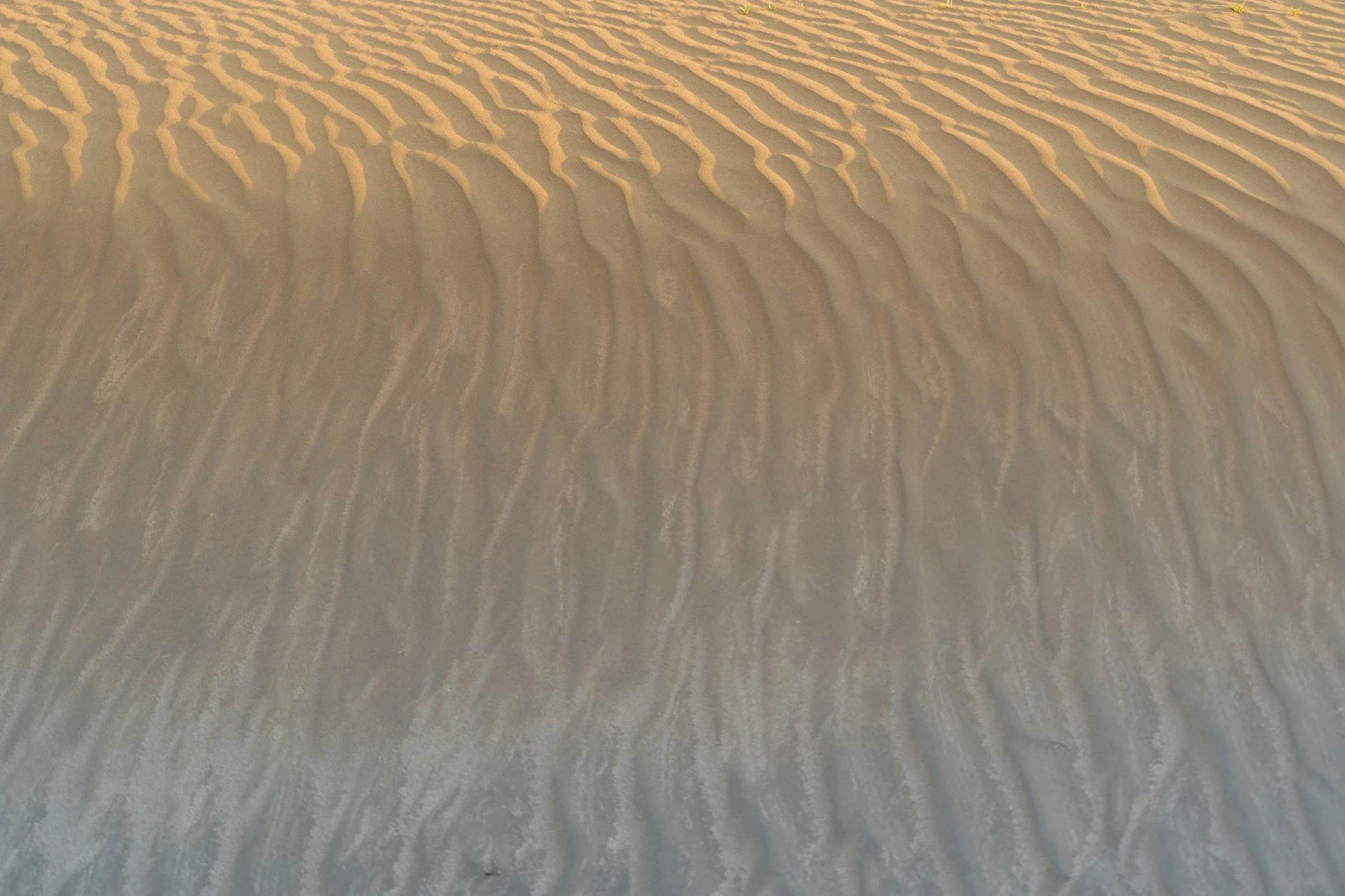 unsplash-image-SypLn1tM_gw.jpg