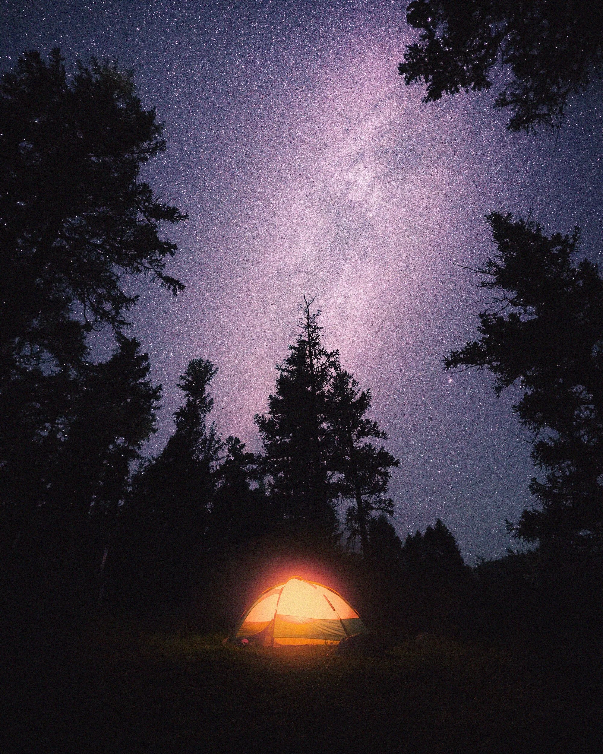 Glowing tent under starry night sky with trees silhouetted around, Milky Way visible.