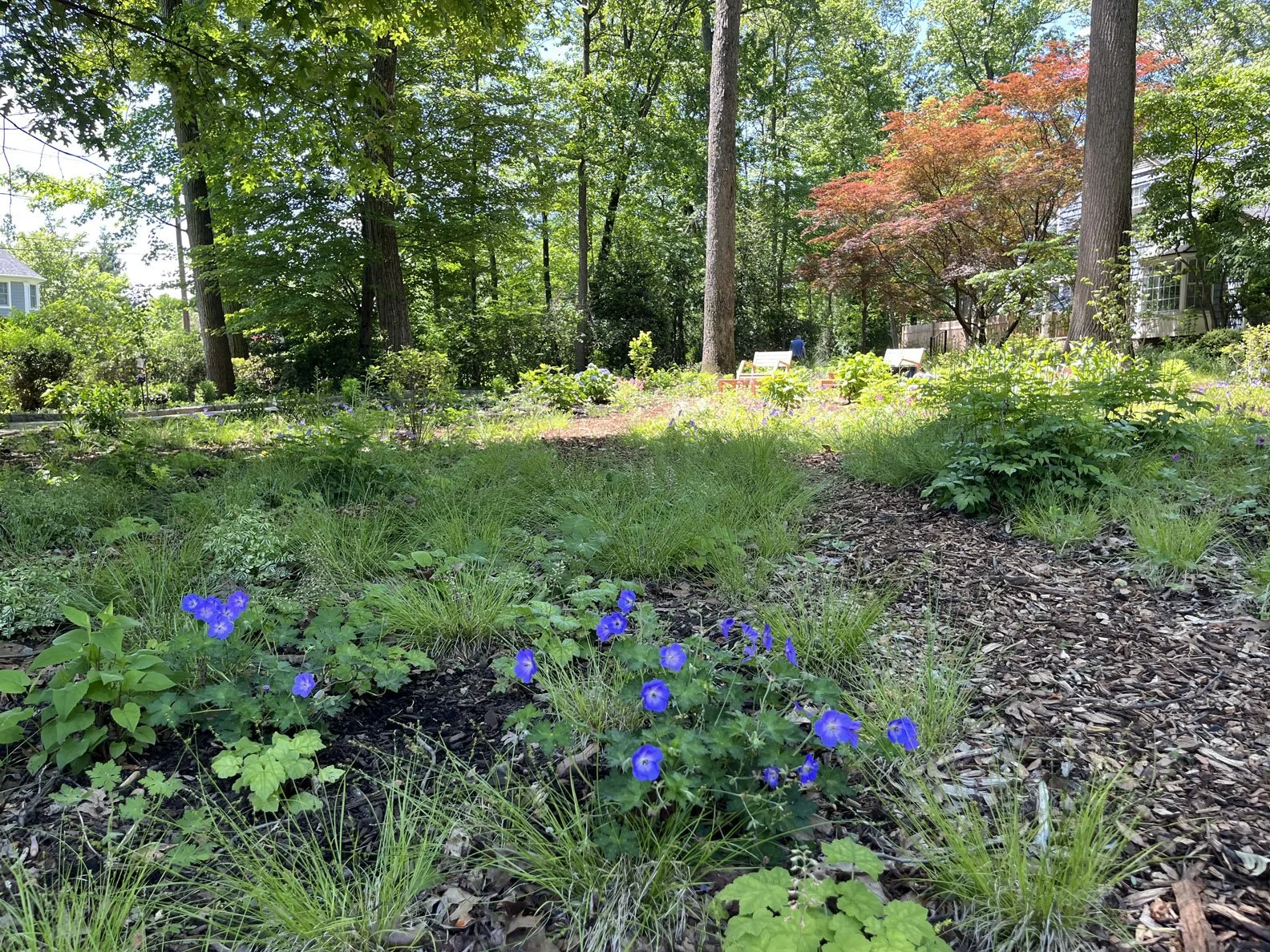 house 014 250520 (2) .jpg