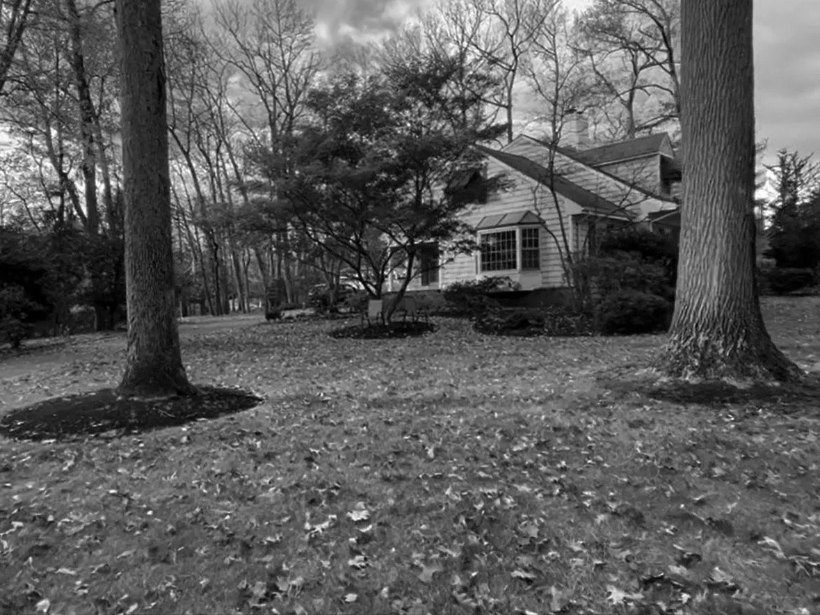 house 010 2022 BW.jpg