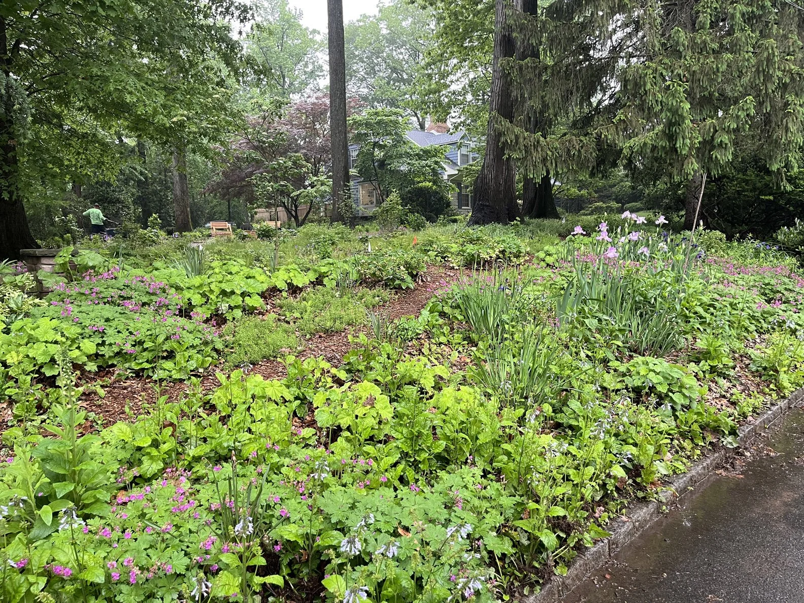 street 015 250515 (3) .jpg