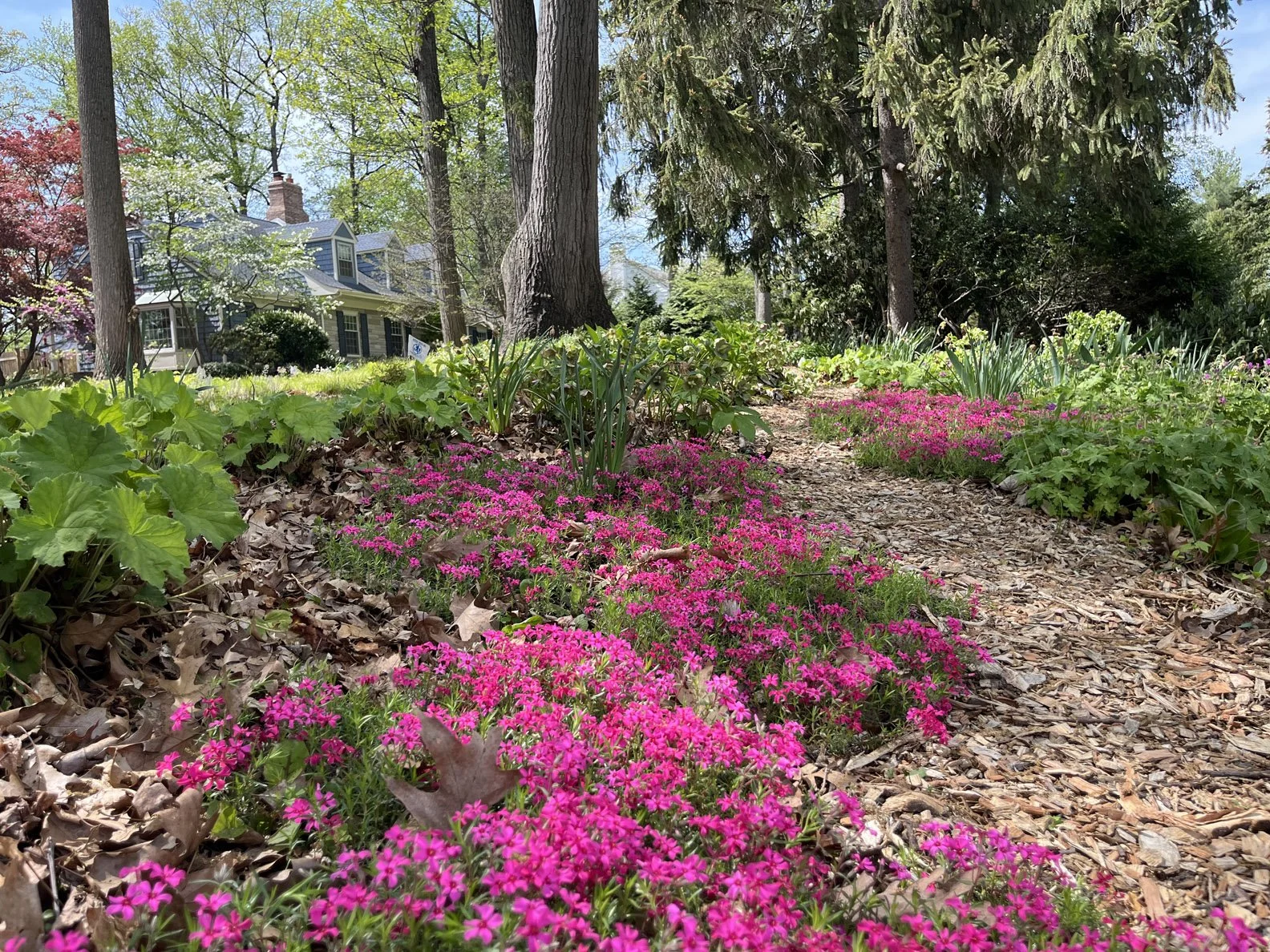 street 014 250429 (1) .jpg