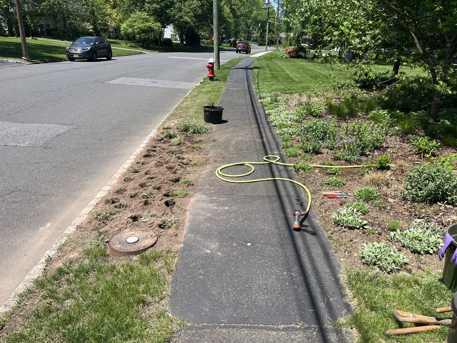 hell strip 250511 (3).jpg