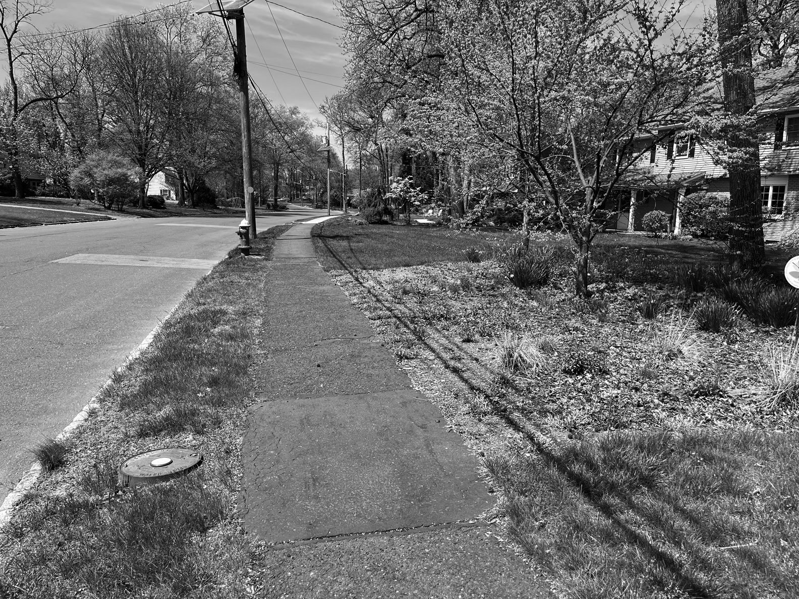 hell strip 250423 BW.jpg