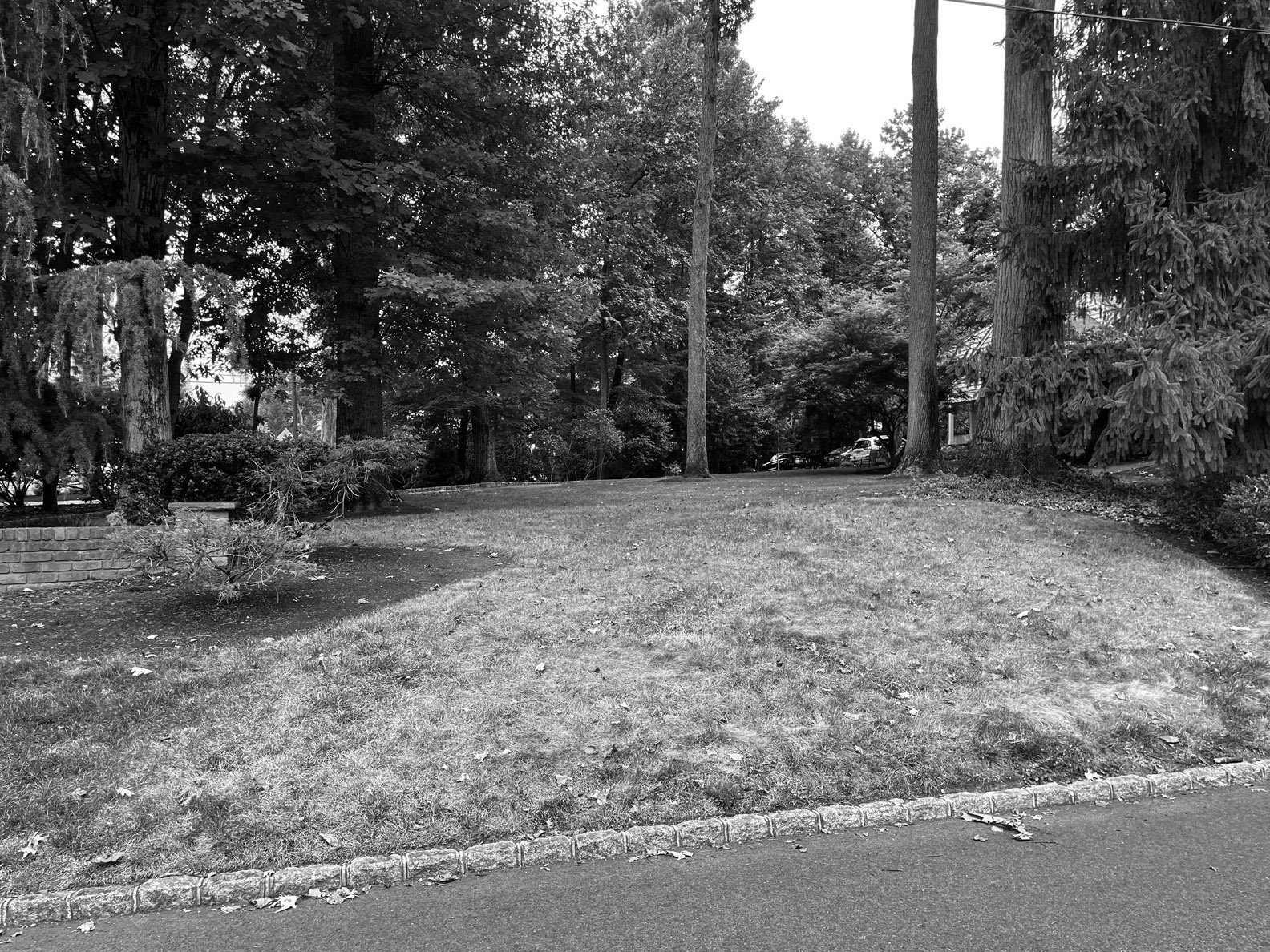 street 010 220808 (2) BW.jpg