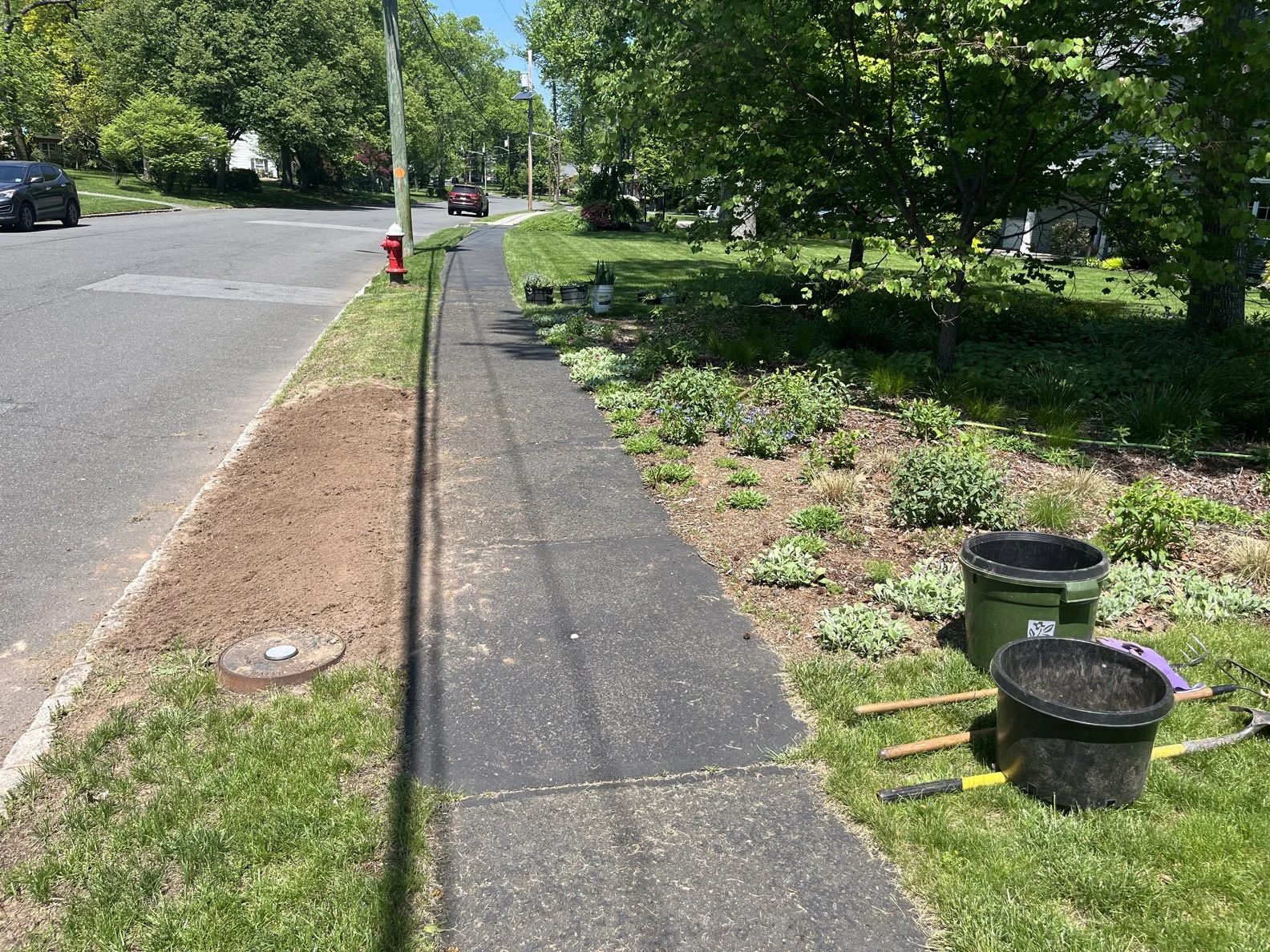 hell strip 250511 (2).jpg