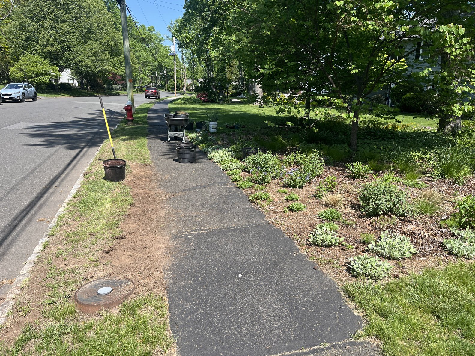 hell strip 250511 (1).jpg