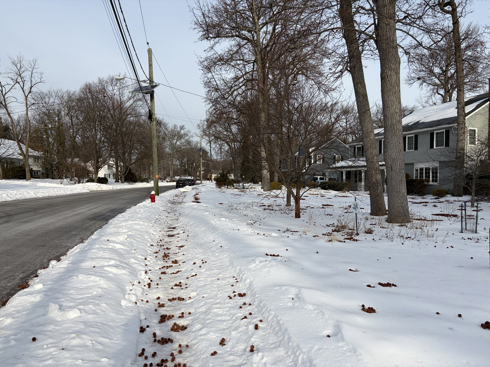 hell strip 260209.jpg