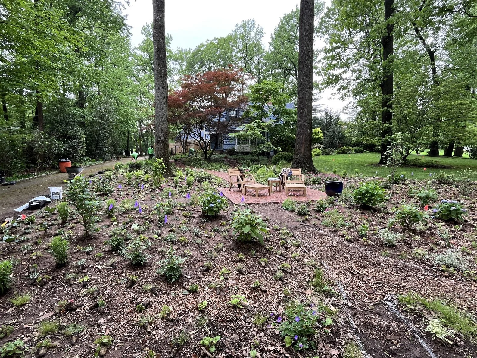 house 013 250515 (5) .jpg