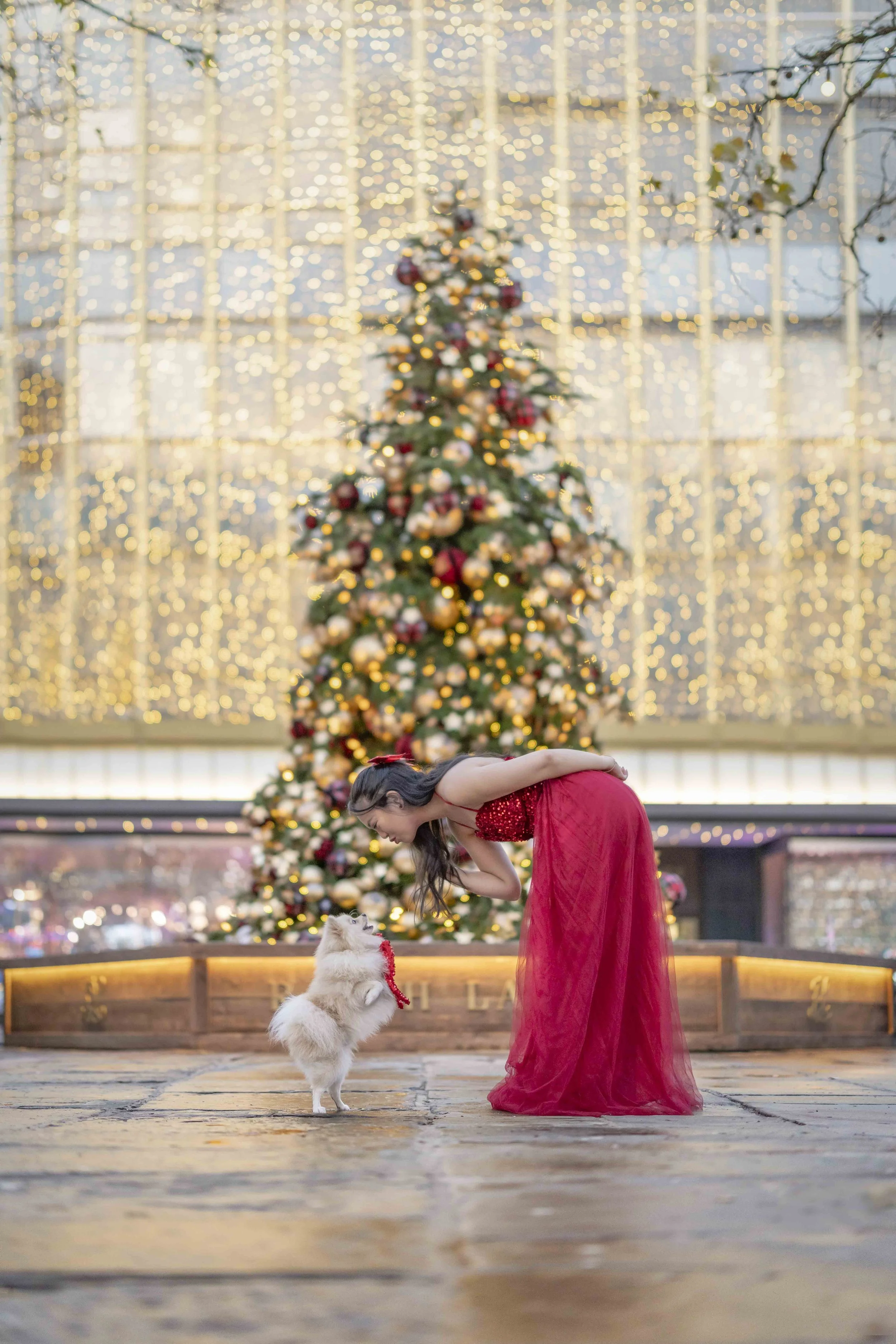 Woman in a red dress greeting her white Pomeranian during a Christmas dog photoshoot beneath festive lights and a Christmas tree at Duke of York Square, Chelsea, London.