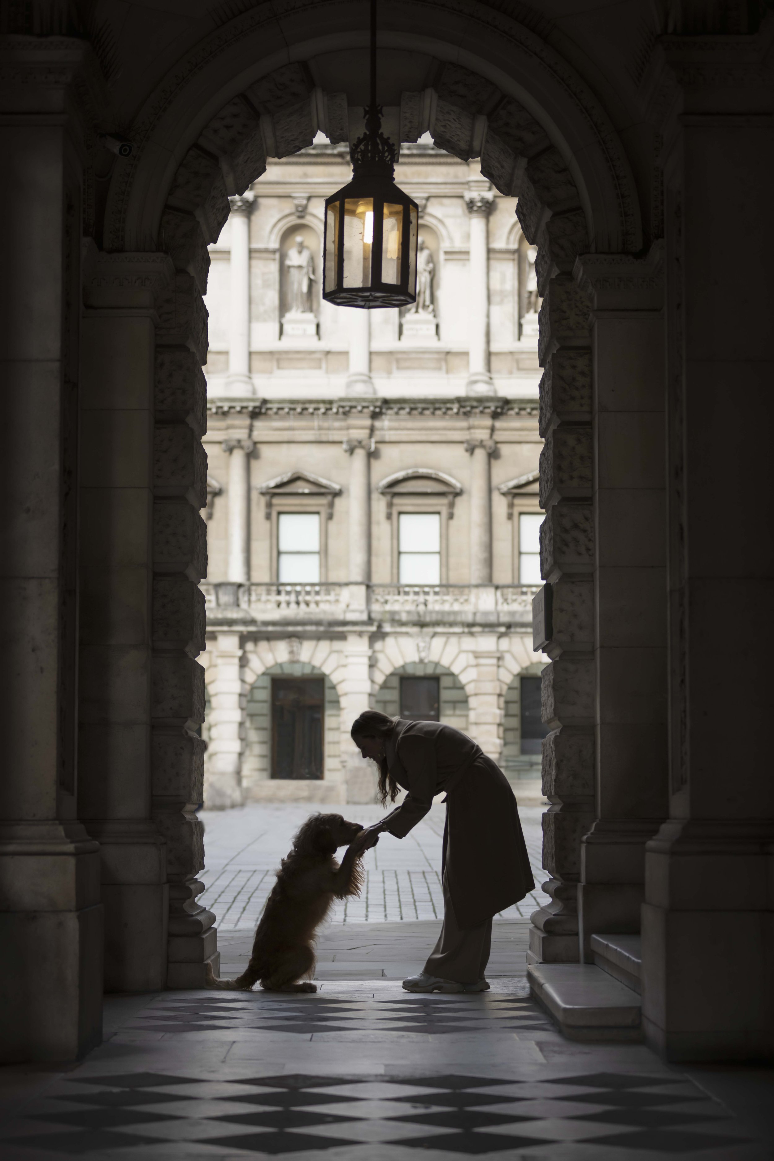 Unleashing Stillness: A London and International Dog Photographer’s Journey Through Serene Park Escapes