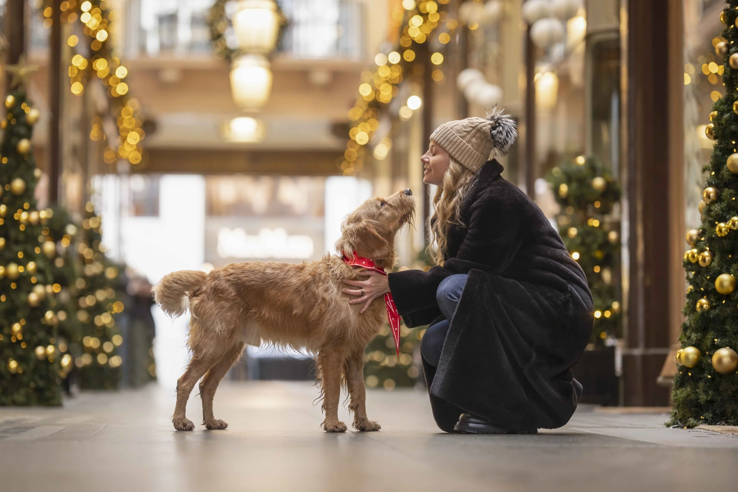 A woman crouching to greet her Goldendoodle during a Christmas dog photography session in the Royal Arcade, Mayfair, London, surrounded by festive trees and warm lights.