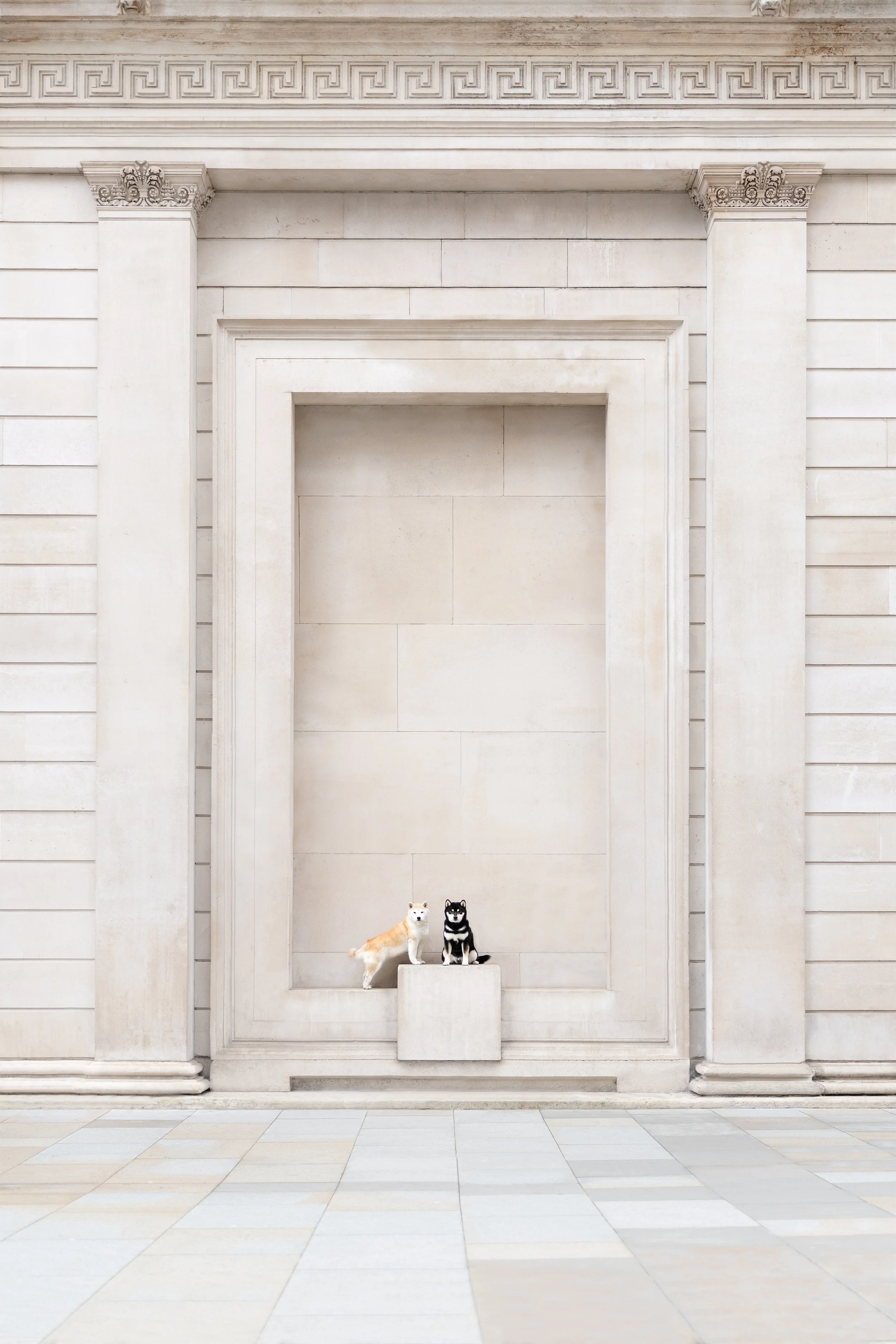 royal-exchange-dog-photoshoot-london.jpg.jpg