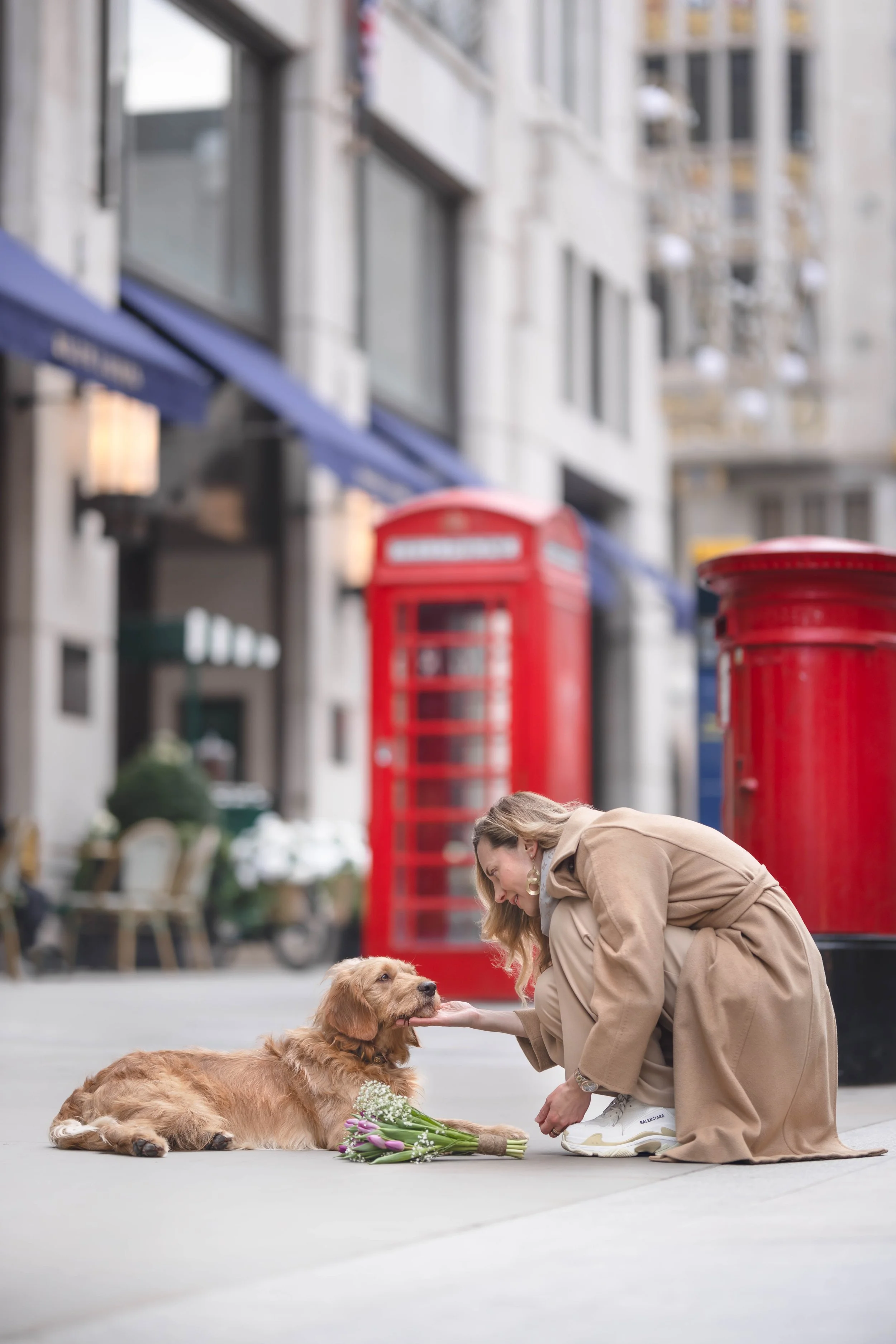 Woman crouching beside her Golden Retriever with a bouquet of flowers outside Ralph Lauren on New Bond Street, Mayfair, London, during a private dog photoshoot.