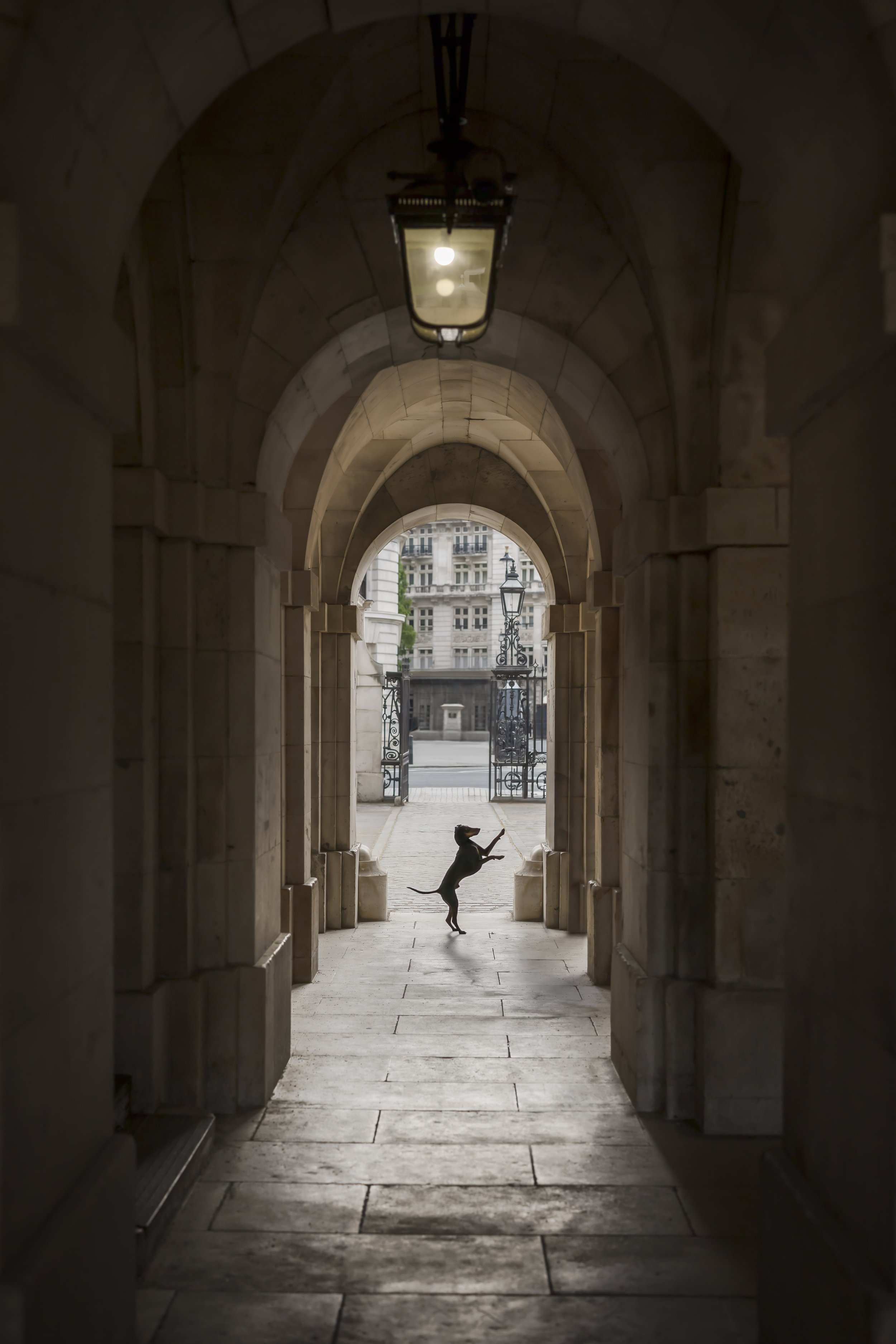 Horse Guards Parade London Dog Photoshoot.jpg