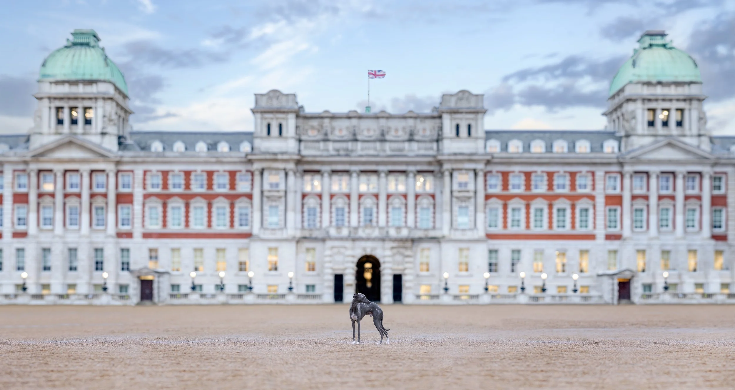 horse-guards-parade-dog-photoshoot-london.jpg