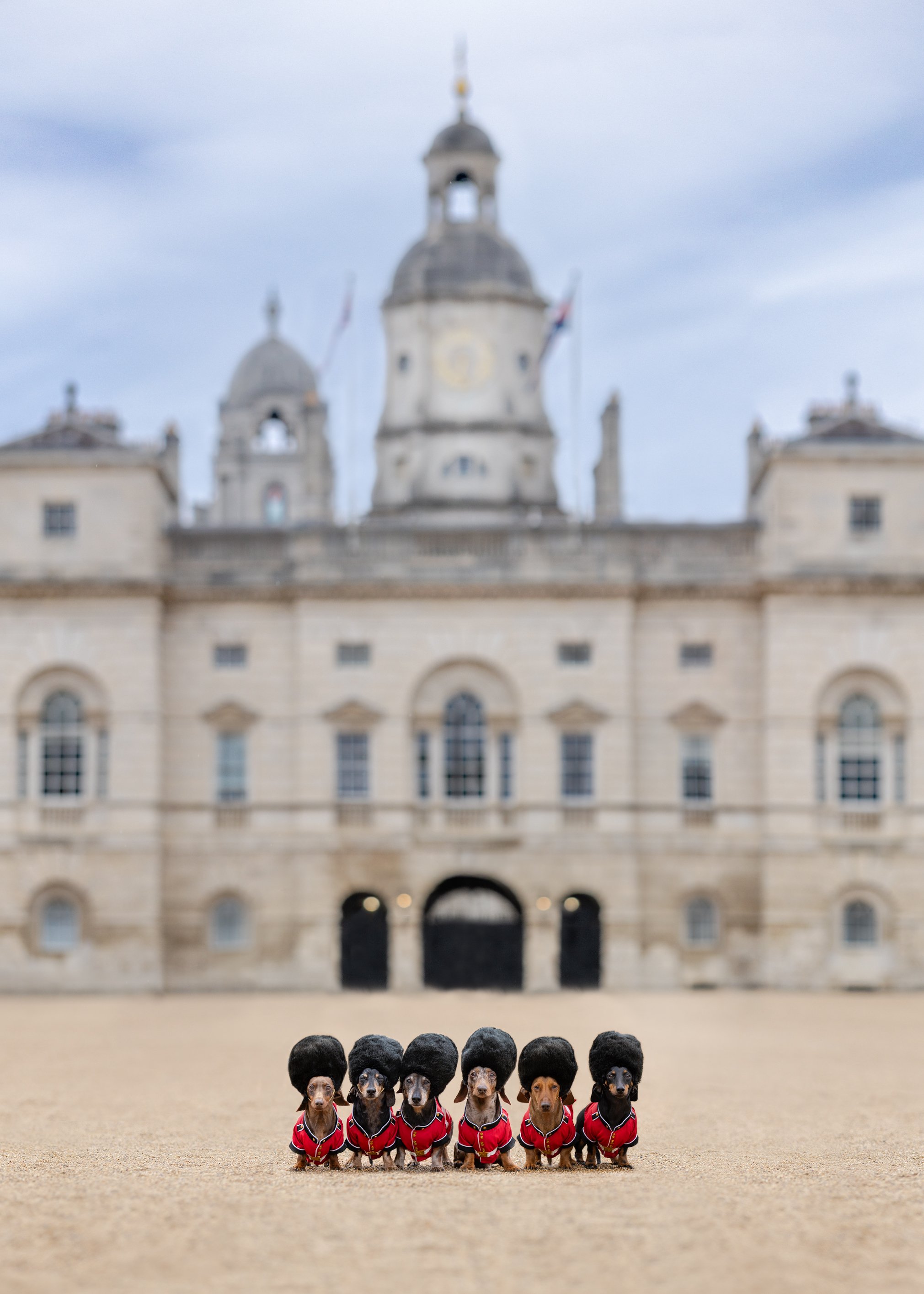 The Iconic Dogs of London - Exhibition