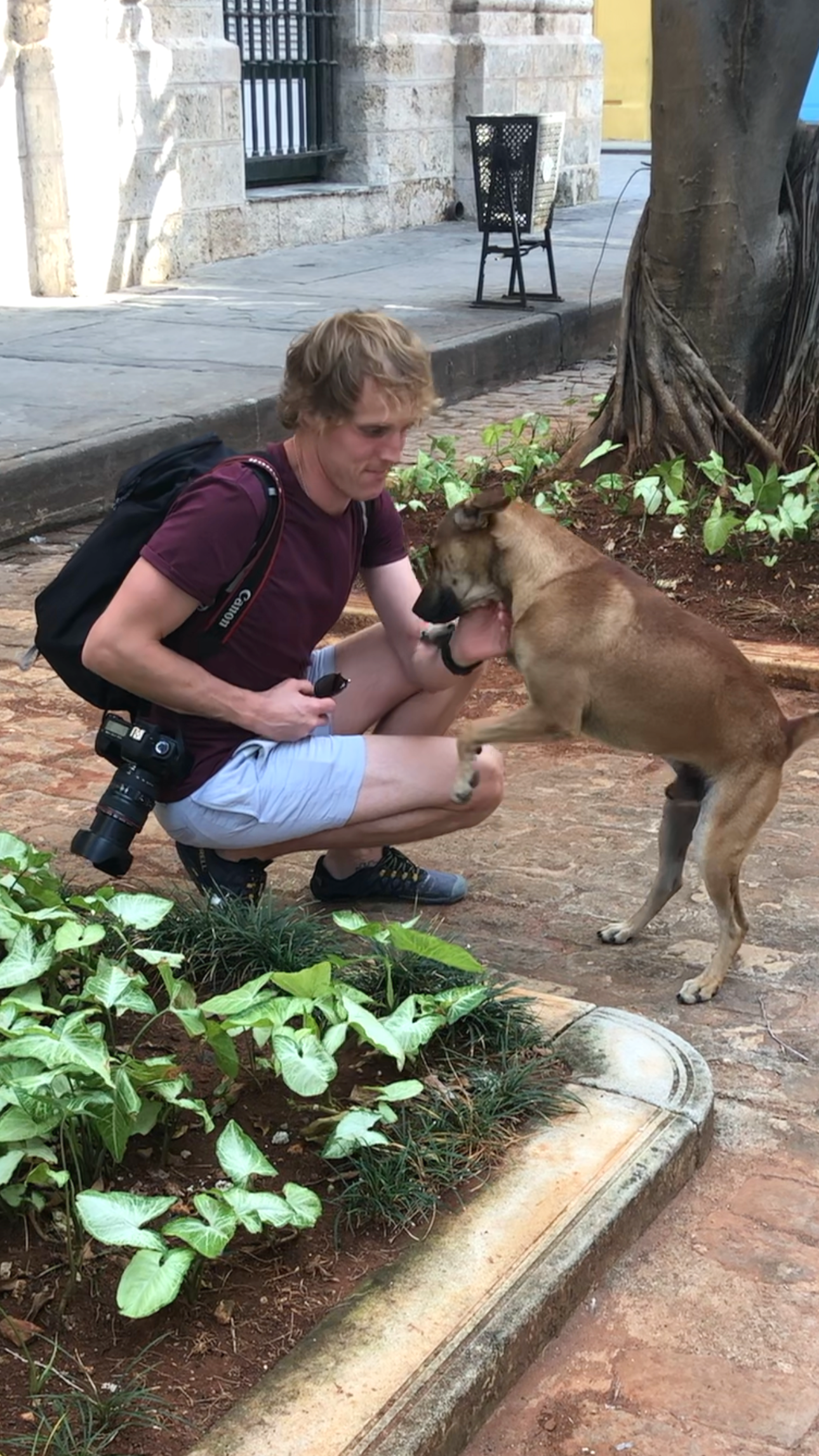 Andrew Raven meeting a stray dog while travelling through Cuba.