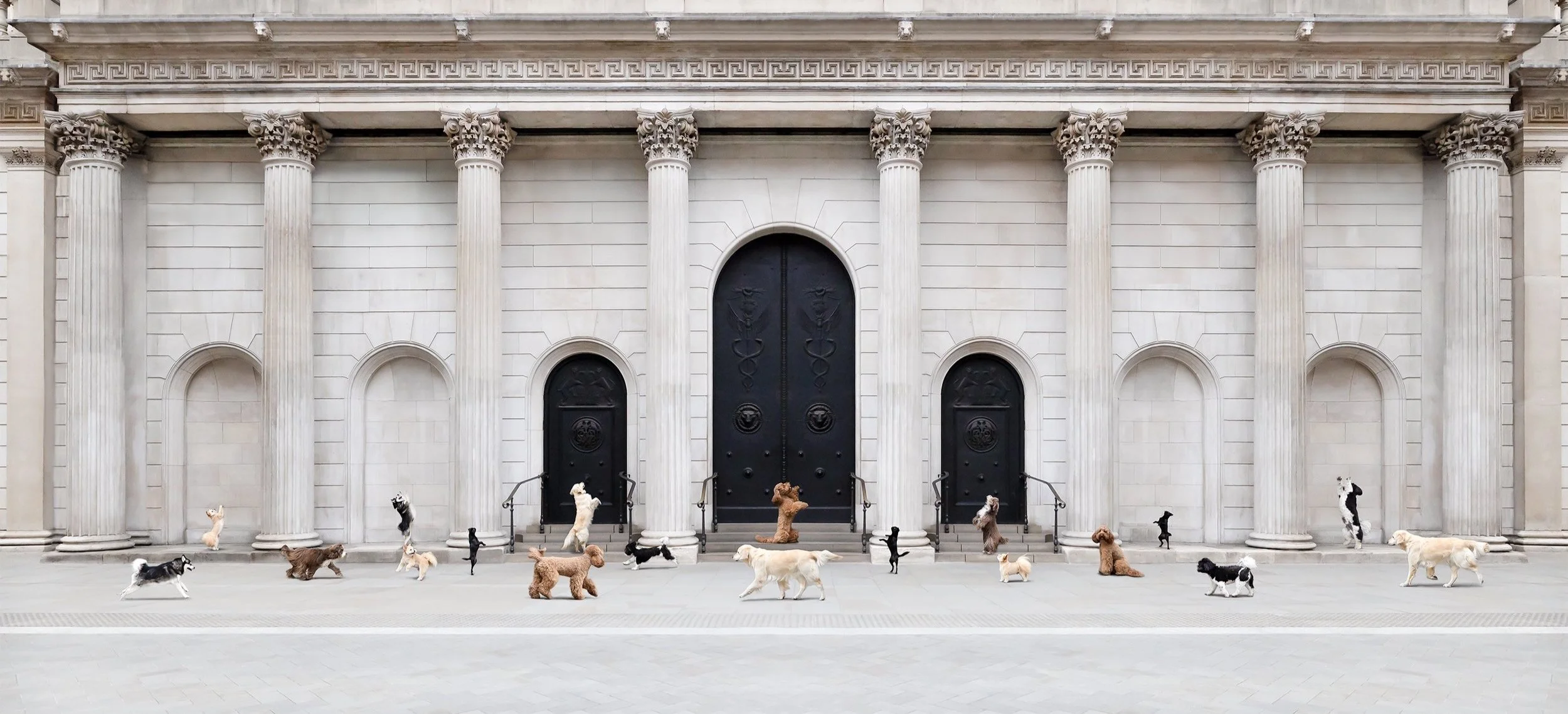 Composite artwork of six dogs crossing Bank in the City of London in front of the Bank of England, by Andrew Raven for Iconic Dogs of London.