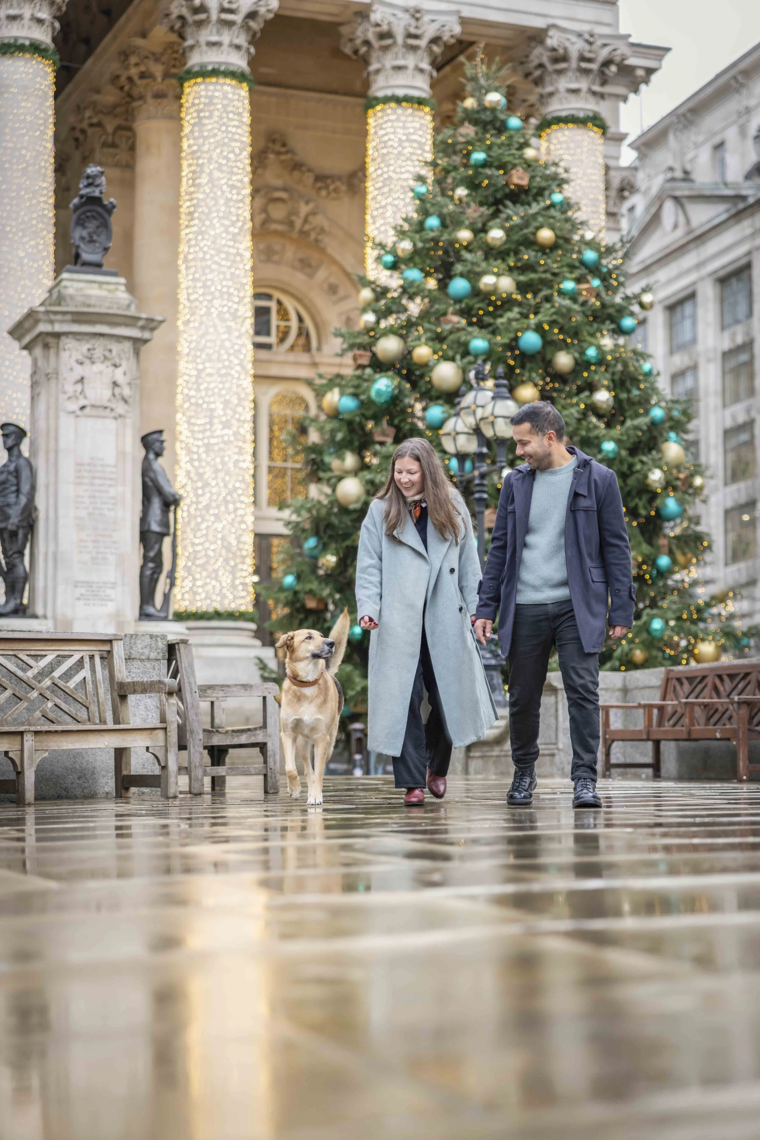 Hippo the German Shepherd walking with her family beside the Christmas tree during their private Christmas dog photography session at the Royal Exchange in the City of London.