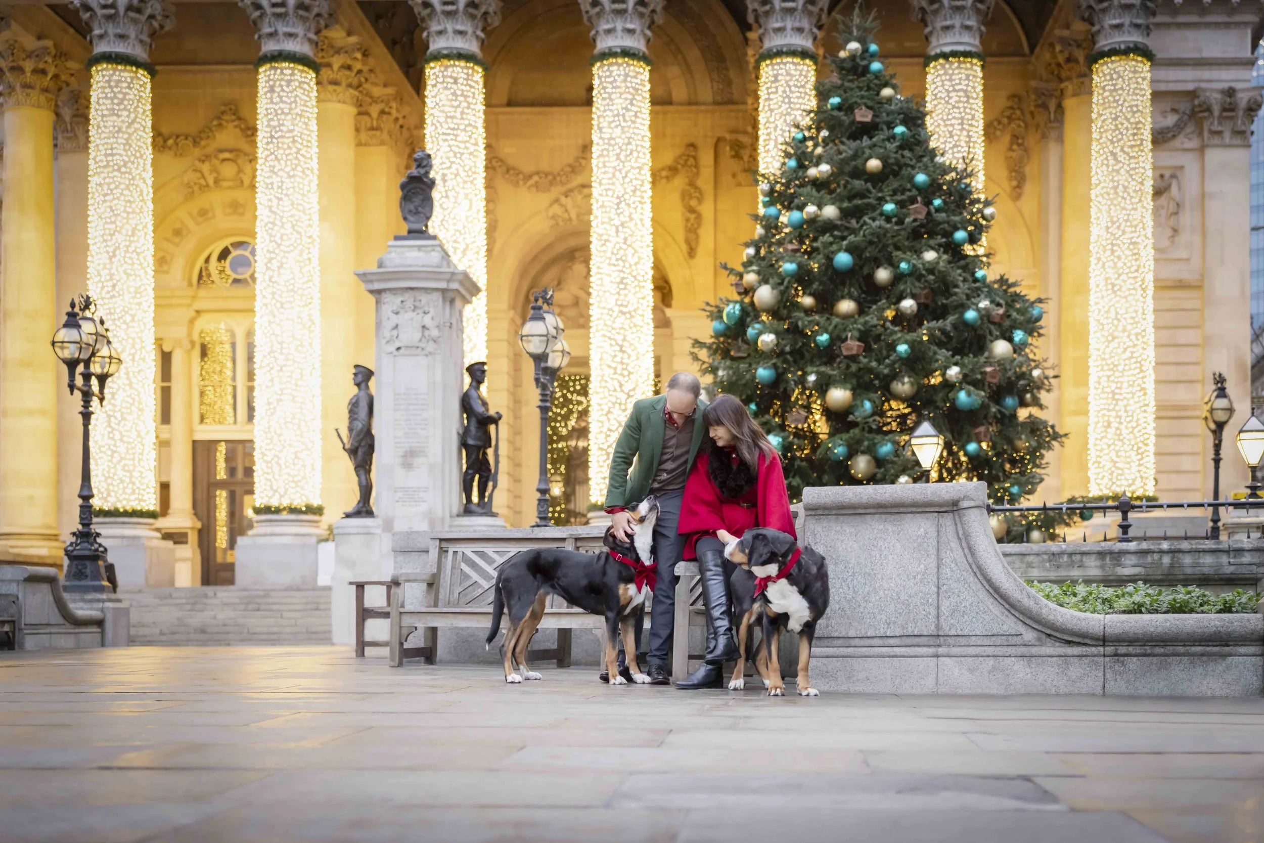 Couple with two Greater Swiss Mountain Dogs beside the Christmas tree and illuminated columns of the Royal Exchange in the City of London.