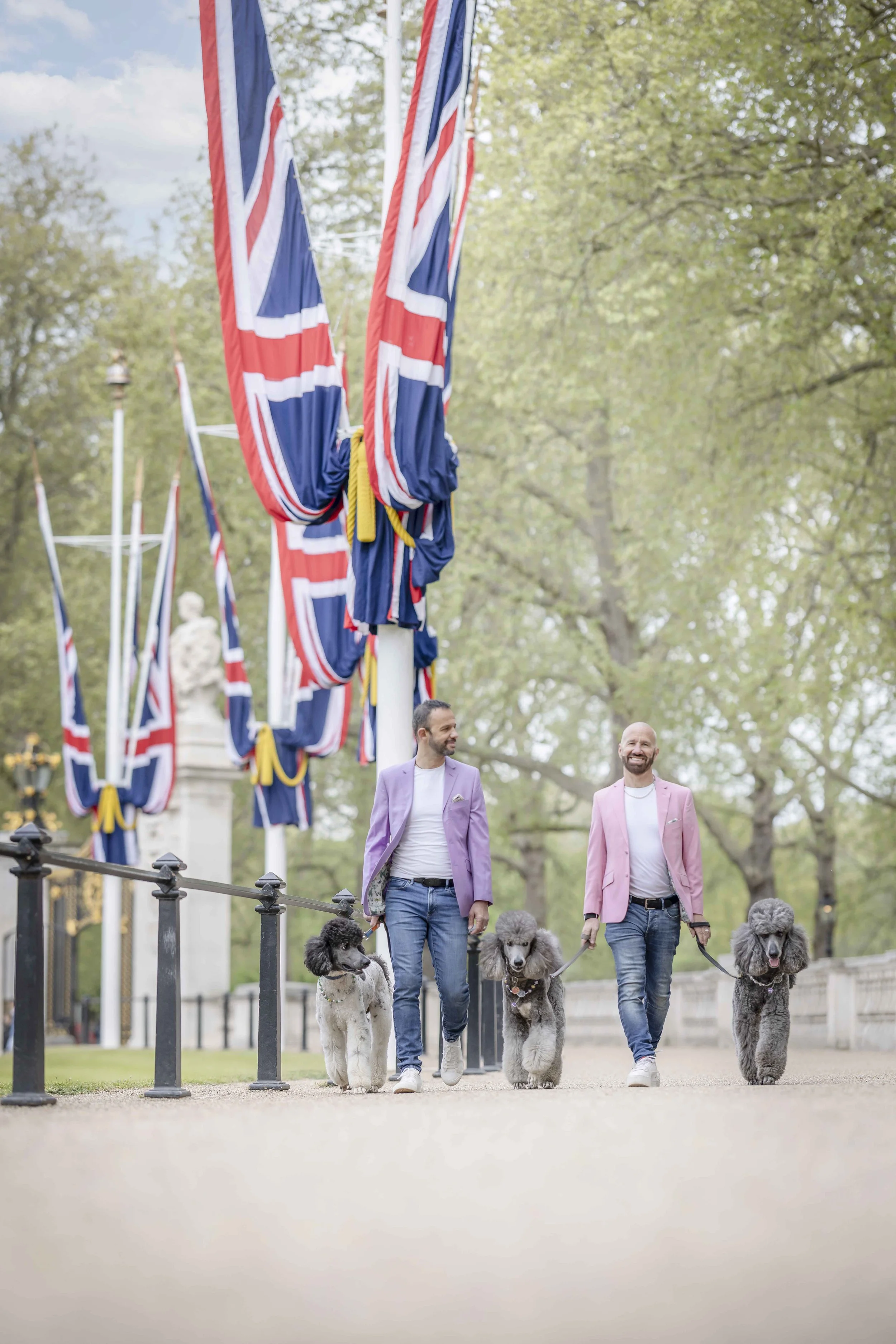 Two men walking three Standard Poodles along The Mall beneath Union flags in London.