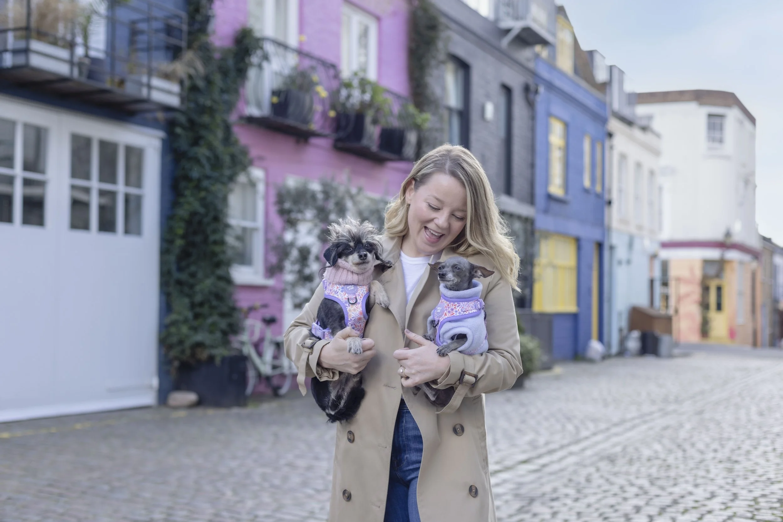 Rescue dogs Betty and Bean being held by their owner during a photography session in London, photographed by Andrew Raven.