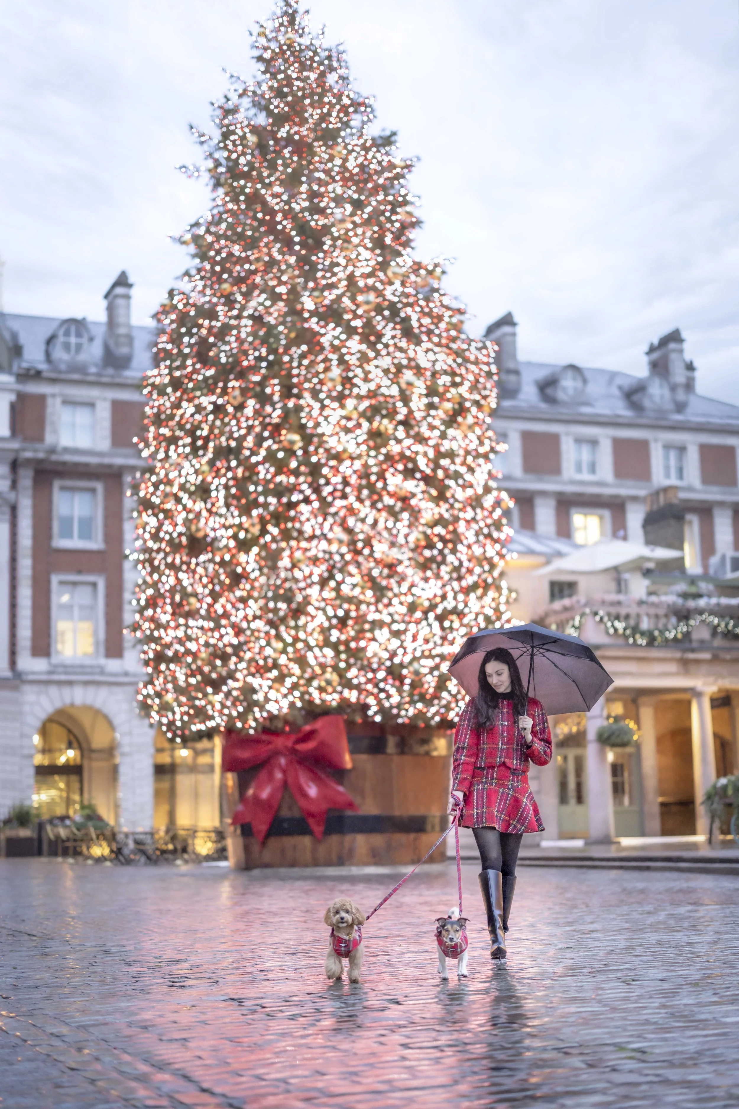 Woman in a tartan outfit walking a Jack Russell and a doodle under an umbrella beneath the giant Christmas tree in Covent Garden during a London Christmas dog photoshoot.