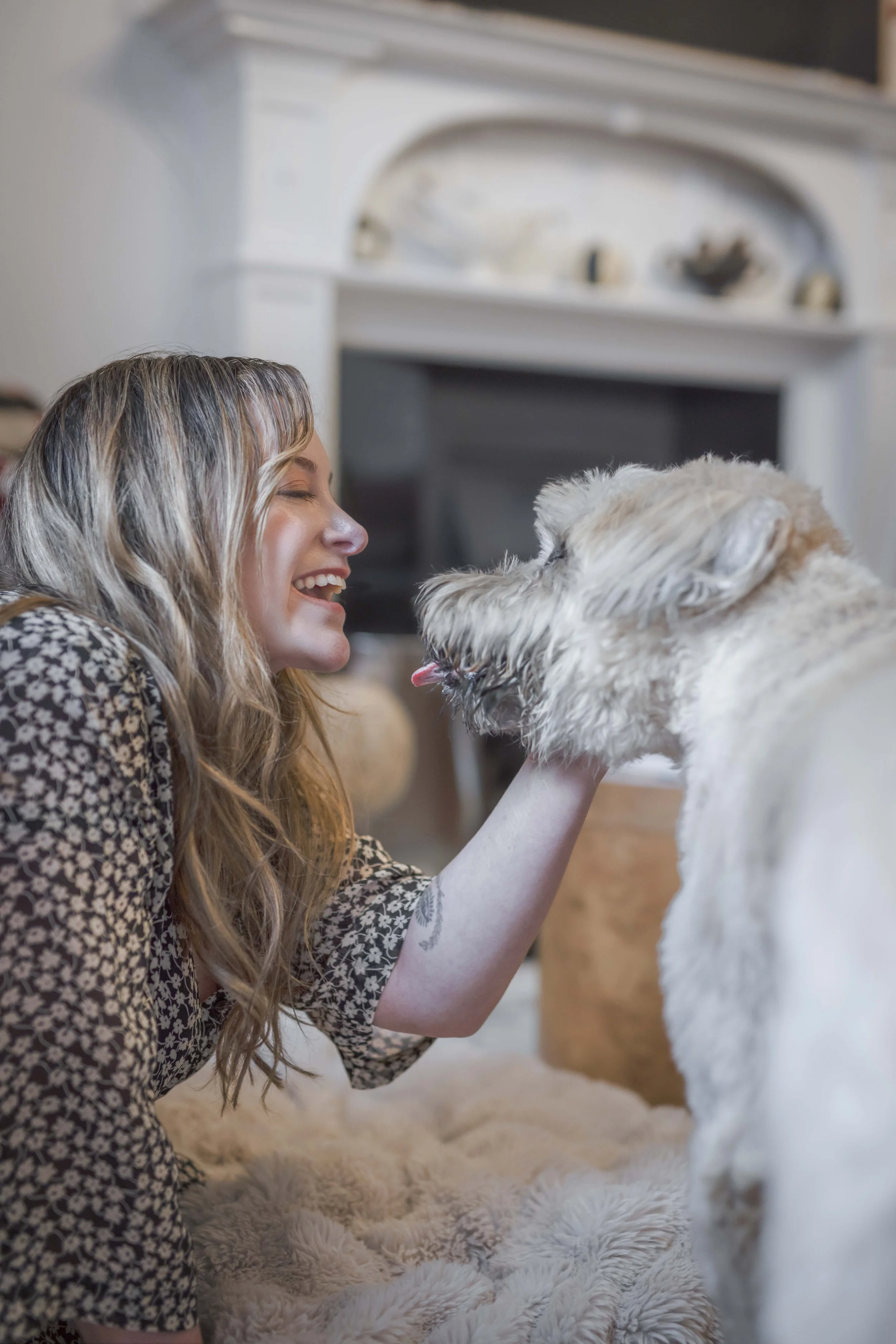 Senior dog Jameson sharing a gentle moment with his owner during a private at home dog portrait session photographed by Andrew Raven.