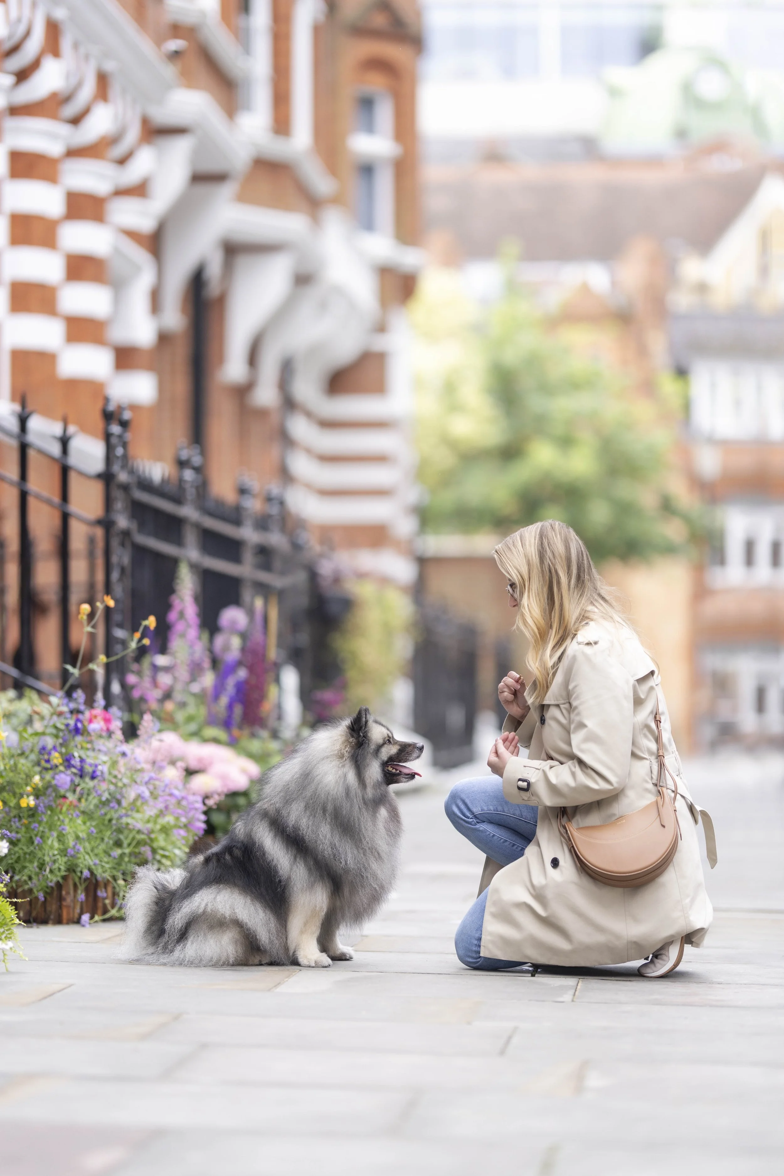 Woman kneeling beside her Keeshond on a flower-lined London street during a dog photography session.