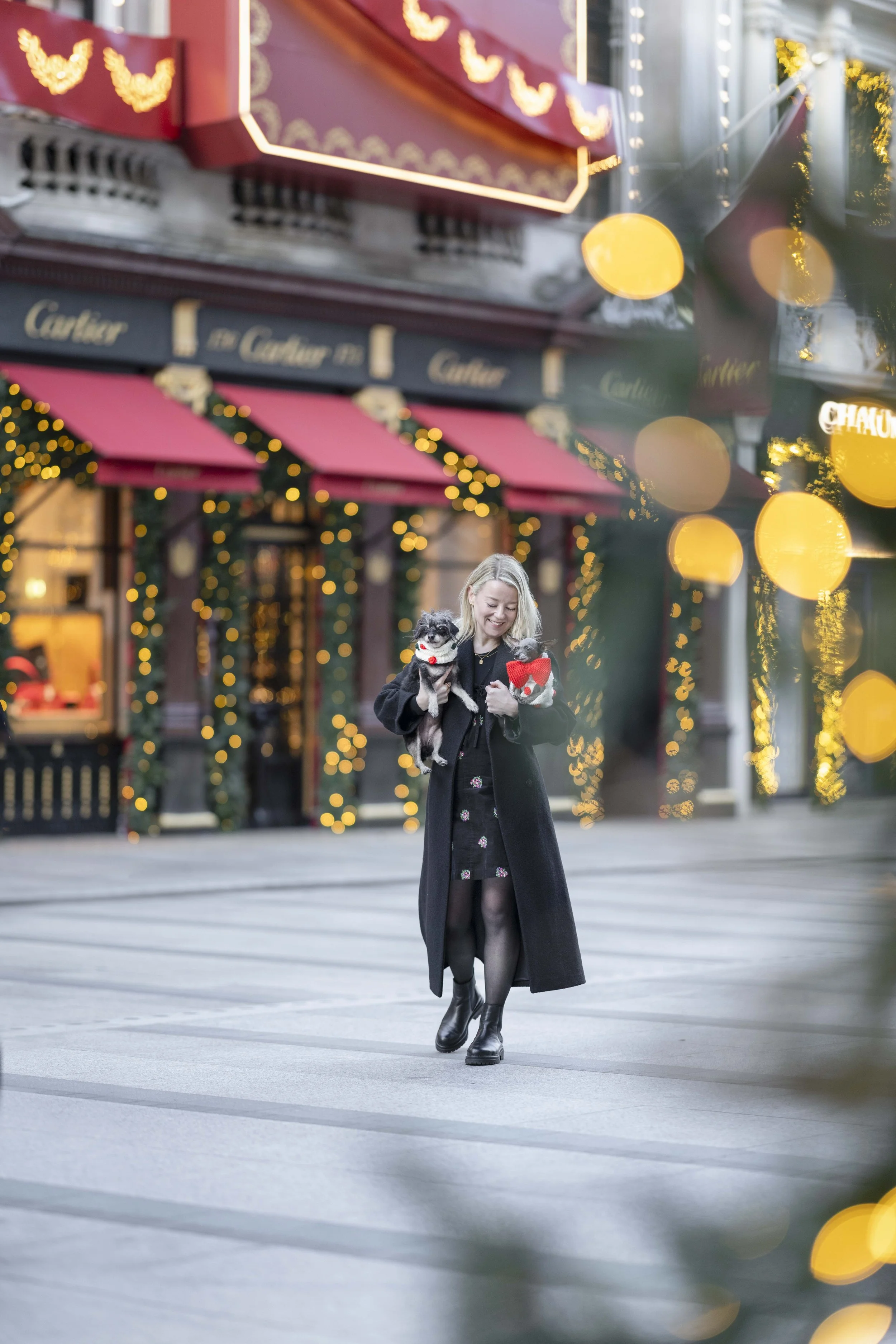 Rescue sisters Betty and Bean being carried by their owner among the Christmas lights in Mayfair, London, photographed by Andrew Raven.