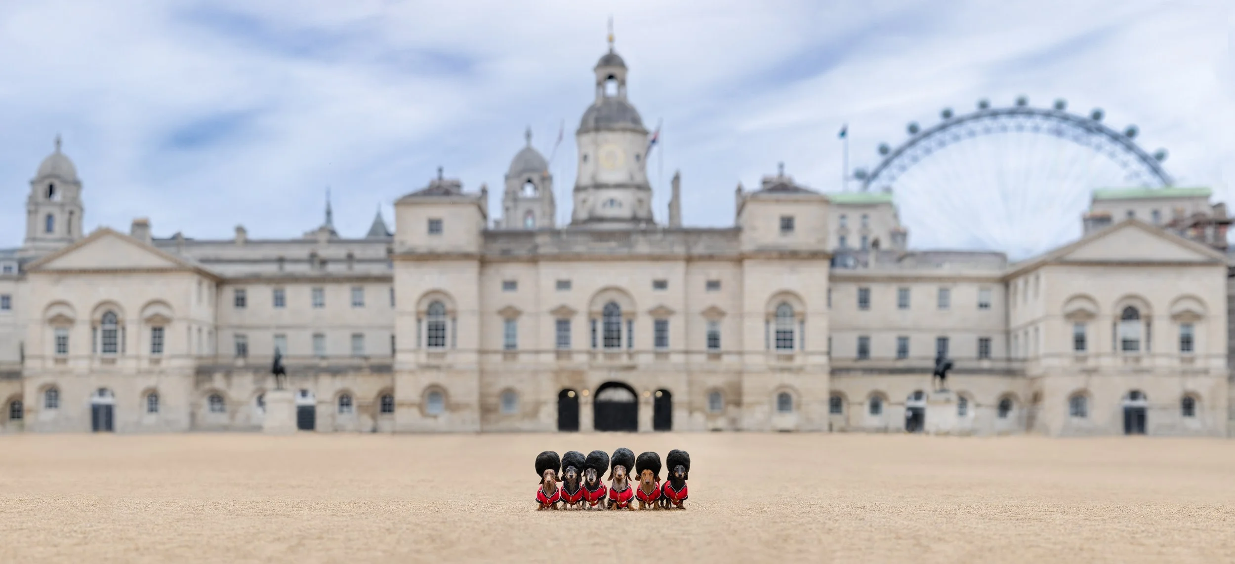 Six dachshunds dressed as King’s Guards at Horse Guards Parade, photographed by Andrew Raven for Iconic Dogs of London.