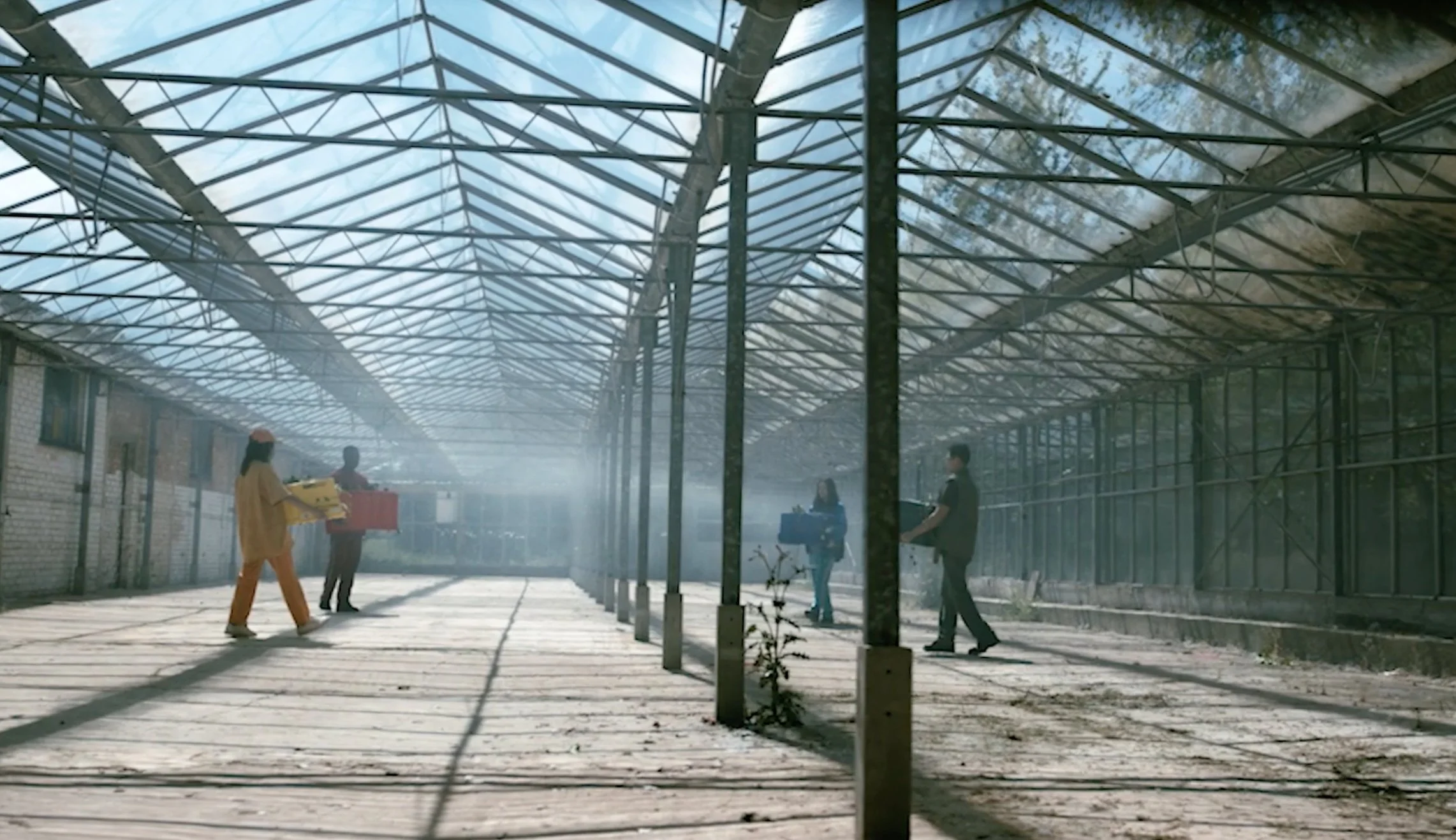 wings+greenhouse+track.jpg