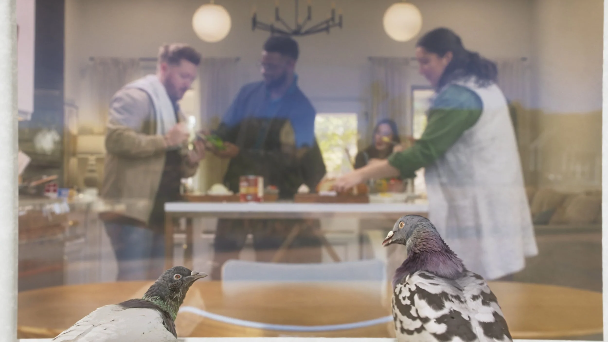 Cooking Pigeons