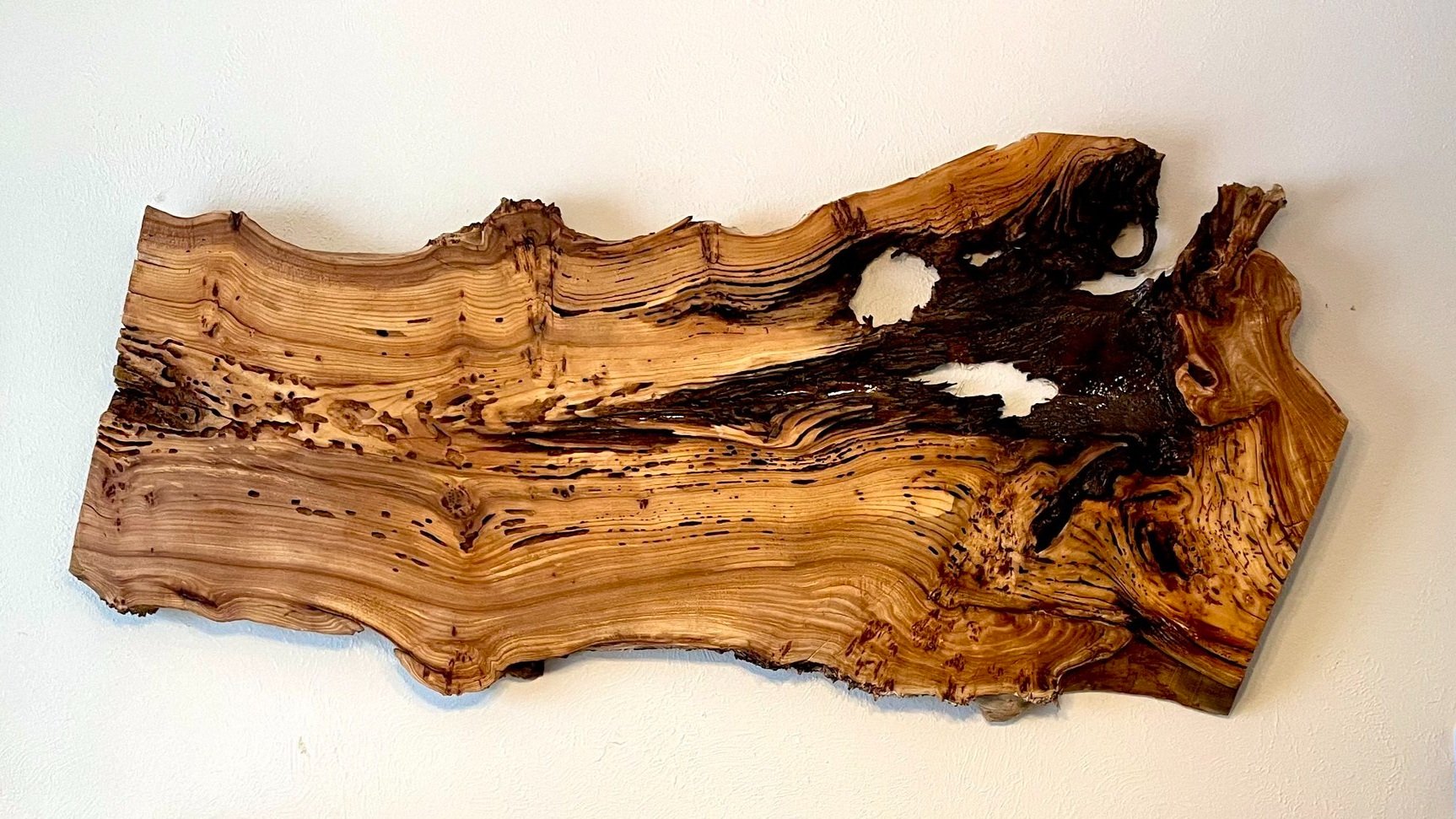 Elm Wall Accent