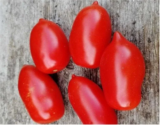 De overheerlijke San Marzano pruimtomaat als inzet van een merkengevecht