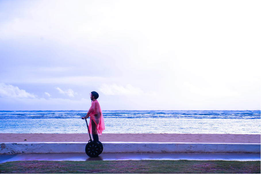 SEGWAY houdt SECVAY uit het merkenregister 