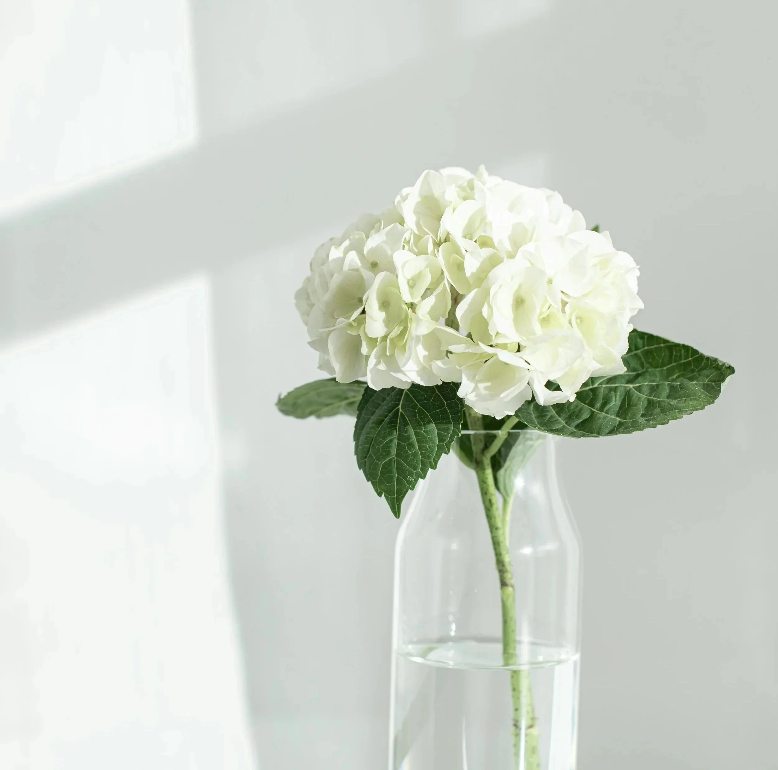 (Artificial) flower power