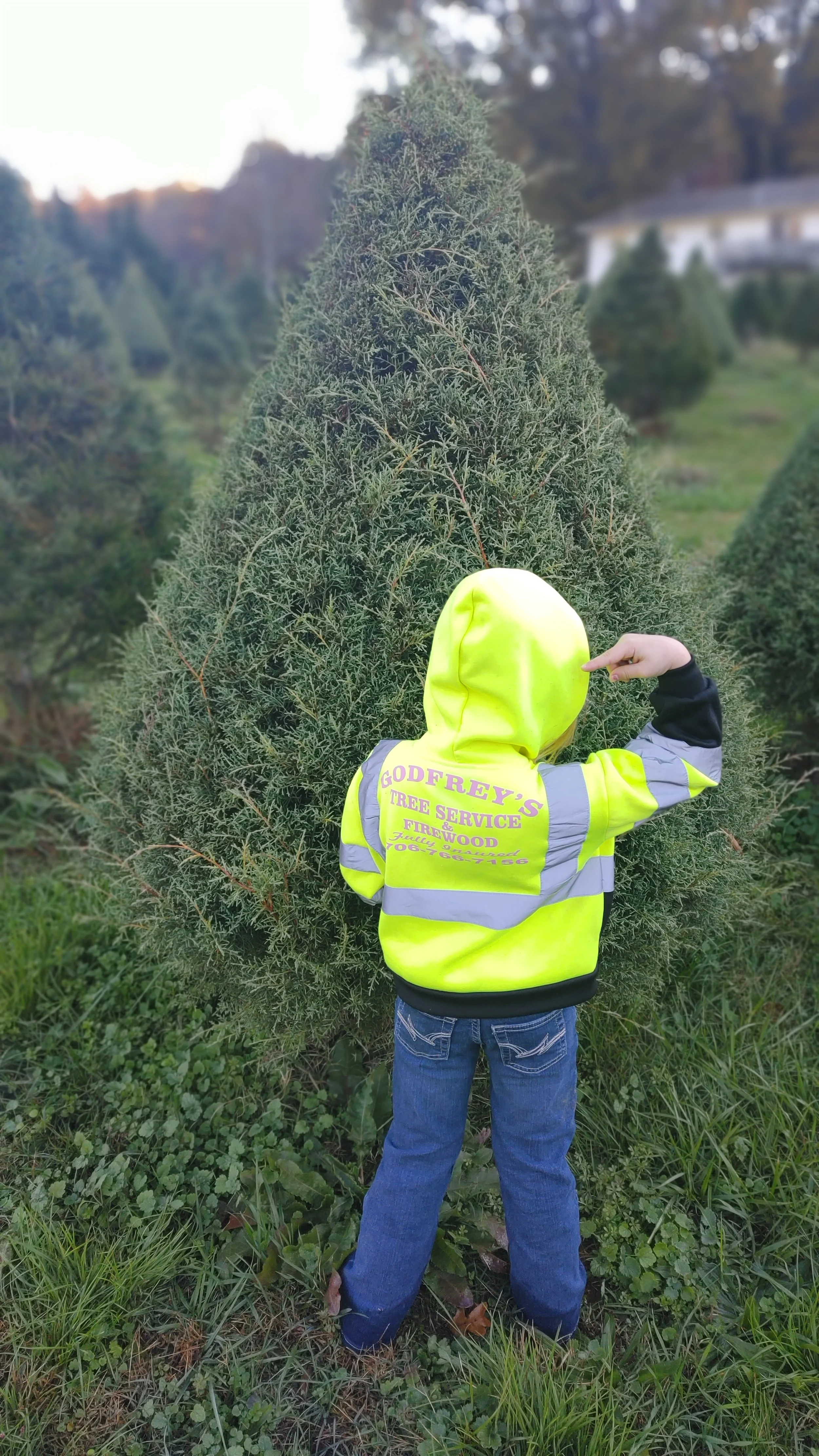 Godfrey's Tree Service, LLC