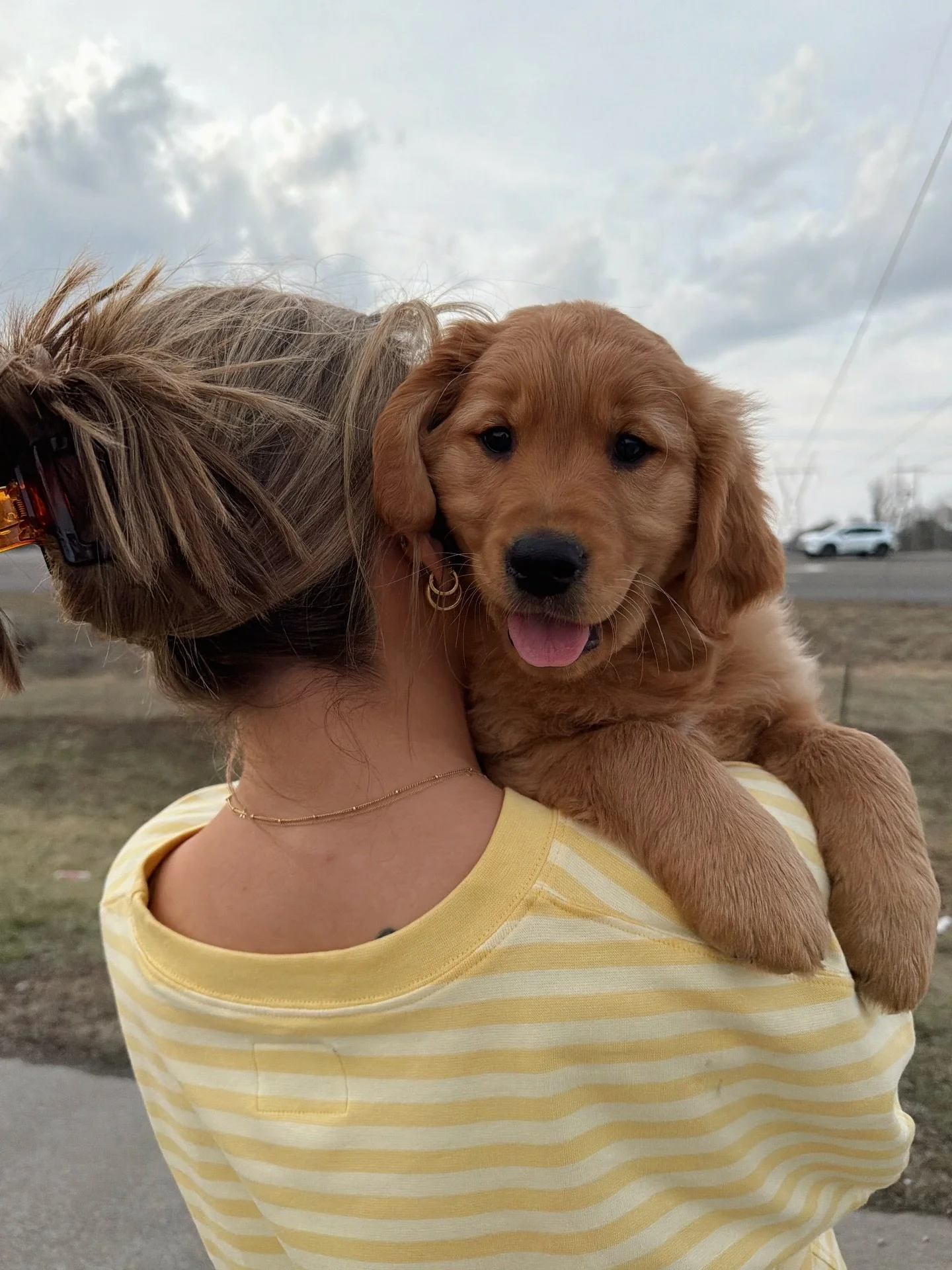 We have Kaiser, Kollyns and&hellip;&hellip;KASH🤎✨🌼🐾 

Aka &mdash; cashew, Kashton, Mr. Moose, crispy chicken nugget &amp; many more🙈so excited to welcome this sweet boy to the Denly crew! We are obsessed.