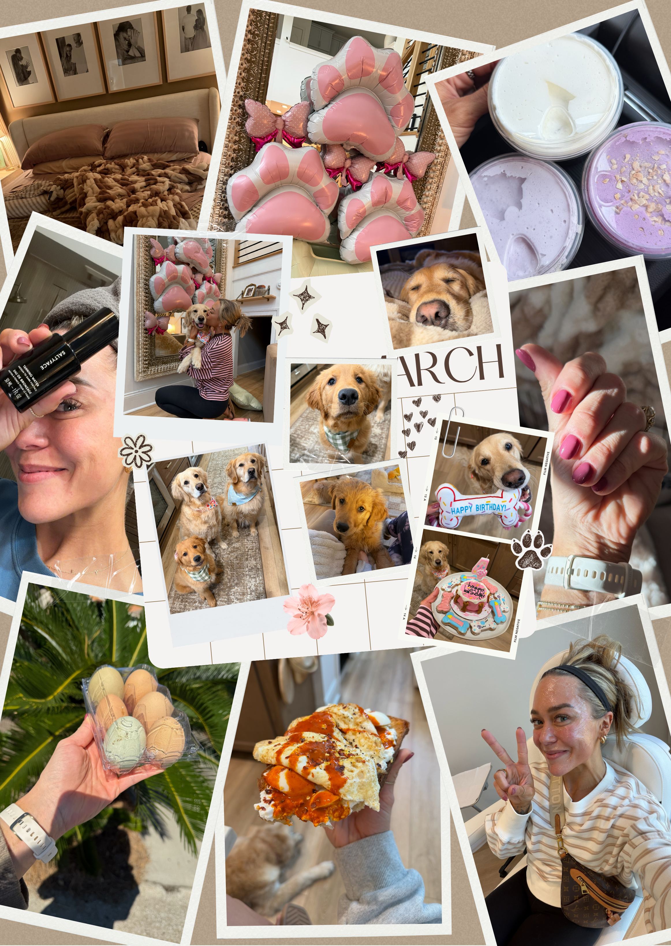 APRIL 2026 Newsletter 💌