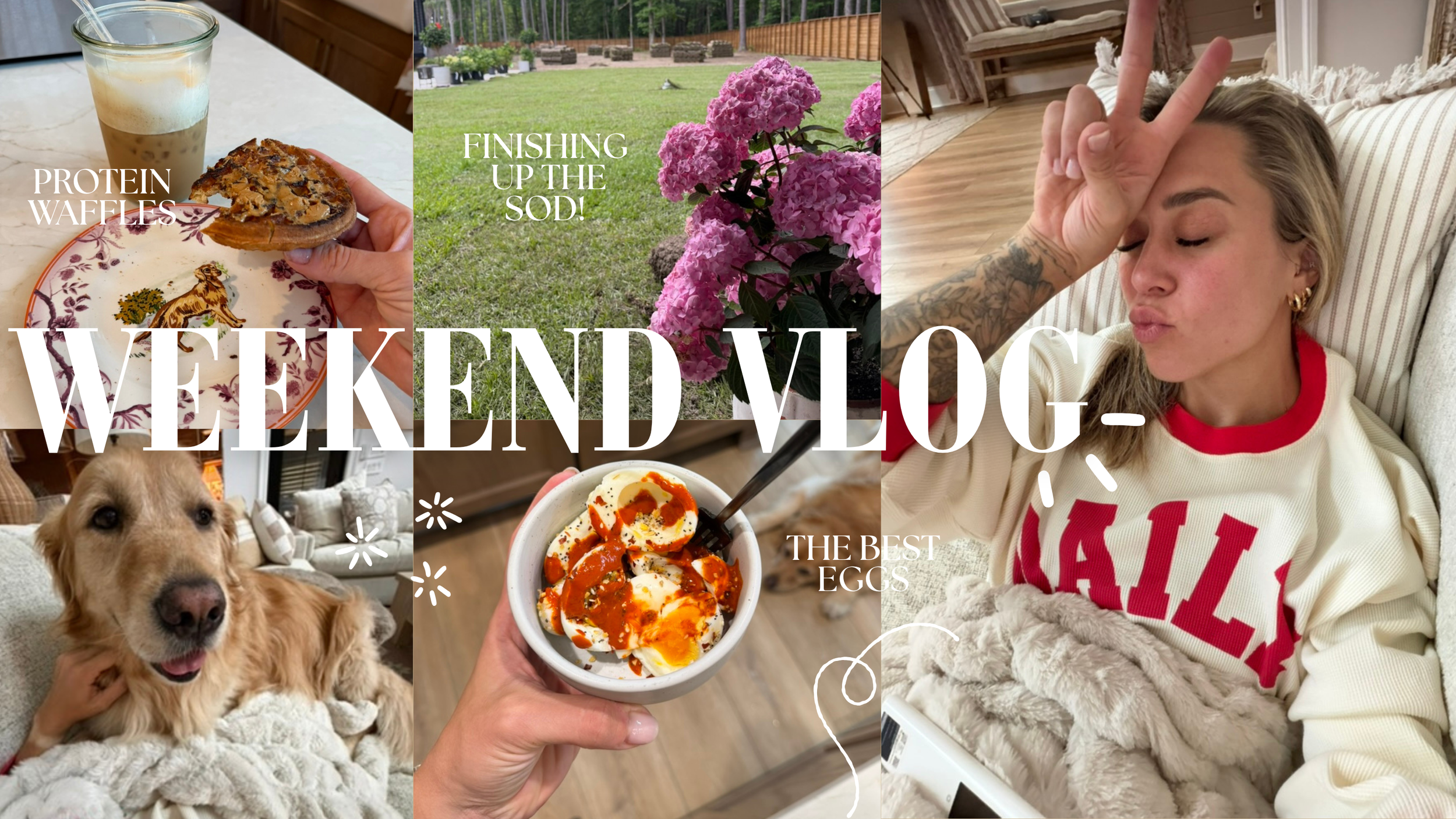 1Daily Vlog Youtube Thumbnail.png