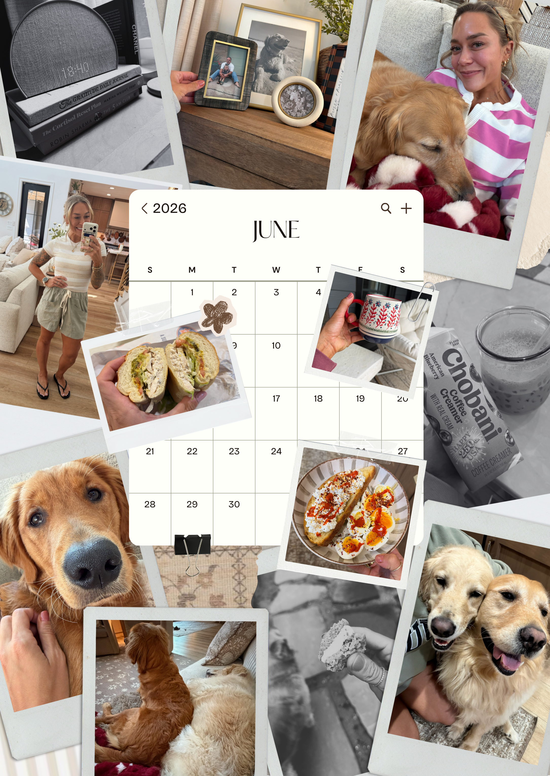 June Recap Newsletter 💌