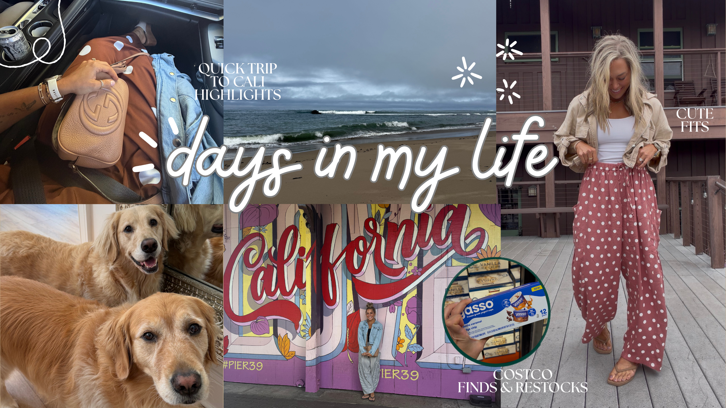 cali vlog.png