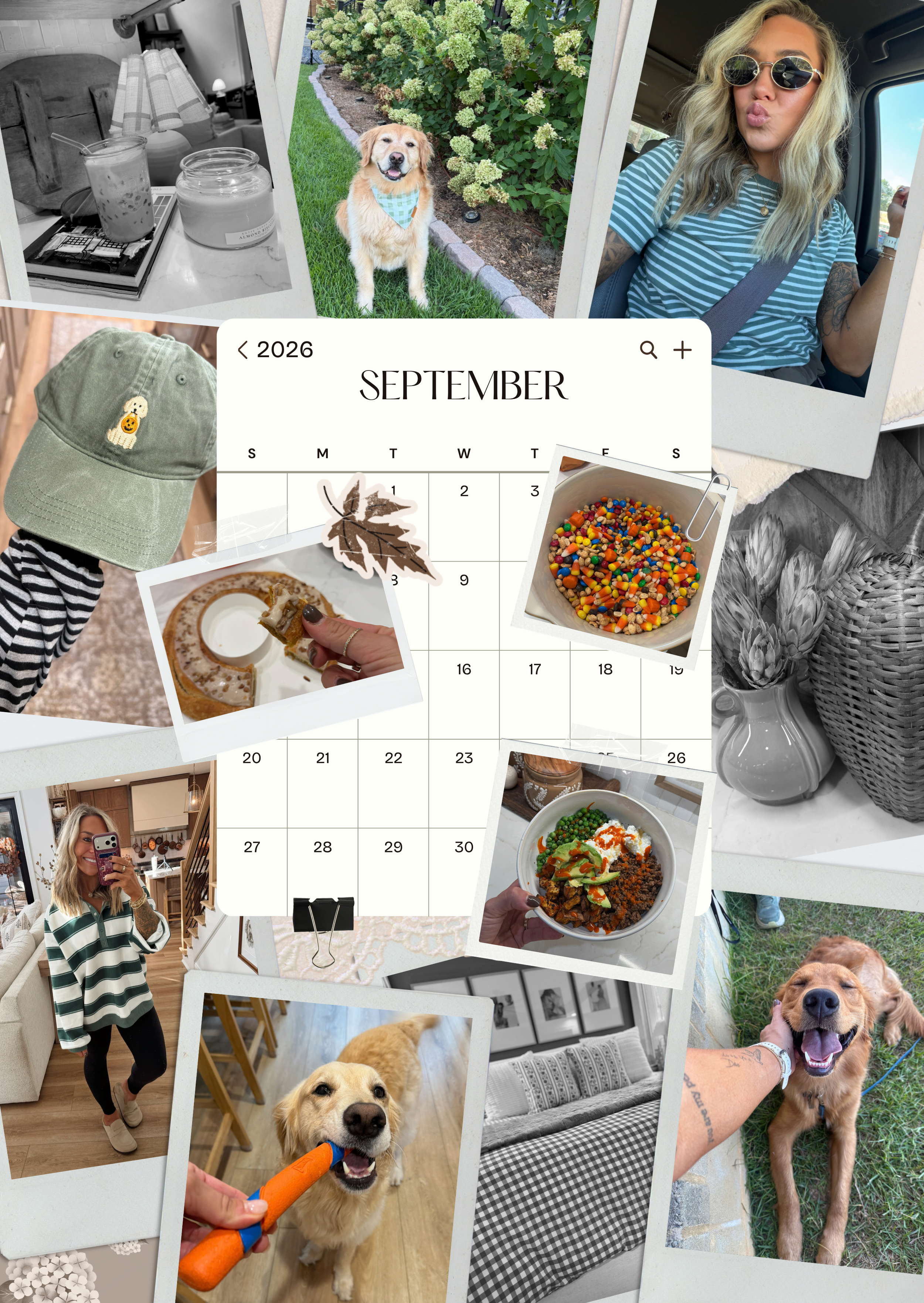 September Recap &amp; Newsletter 💌
