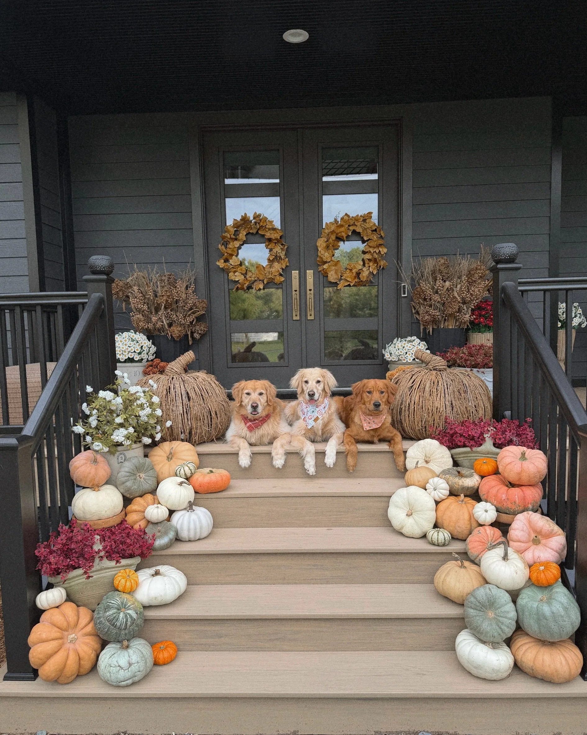 The golden days of Fall🍂✨🤎

Front porch views this year!!!