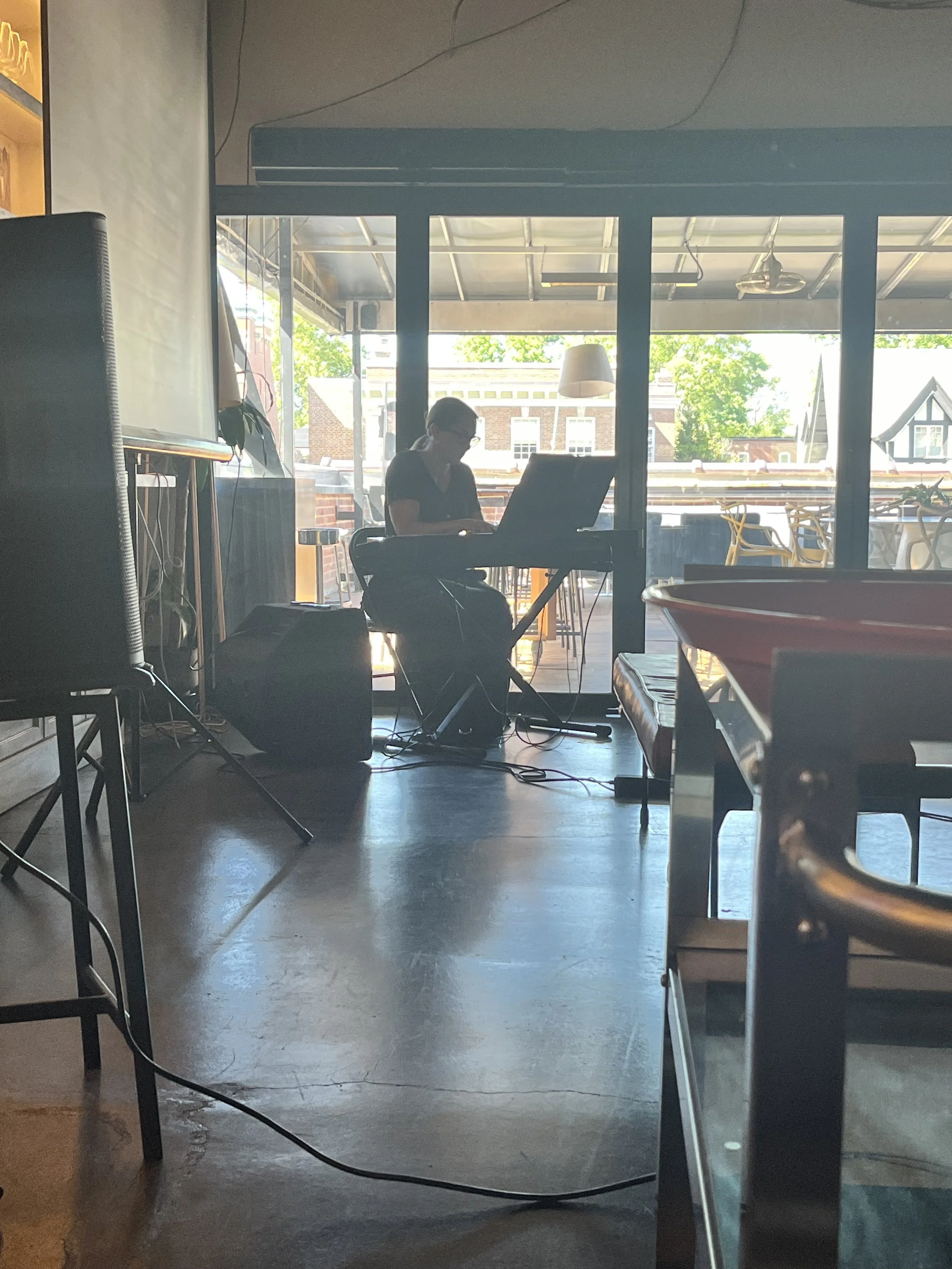Ms. Brown performing background music for an event