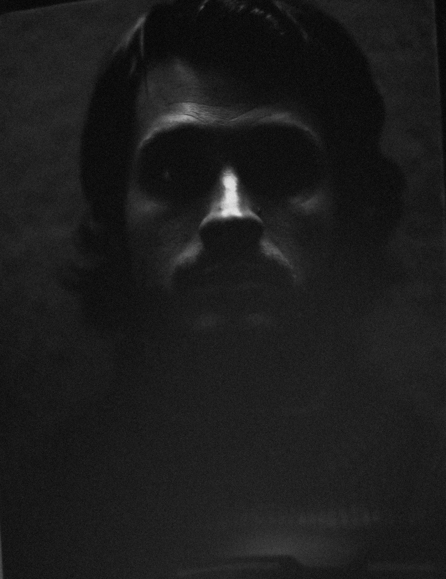 &Uacute;ltimas pruebas con Sirius Black.

S&iacute;ganmeee @bebofistudio